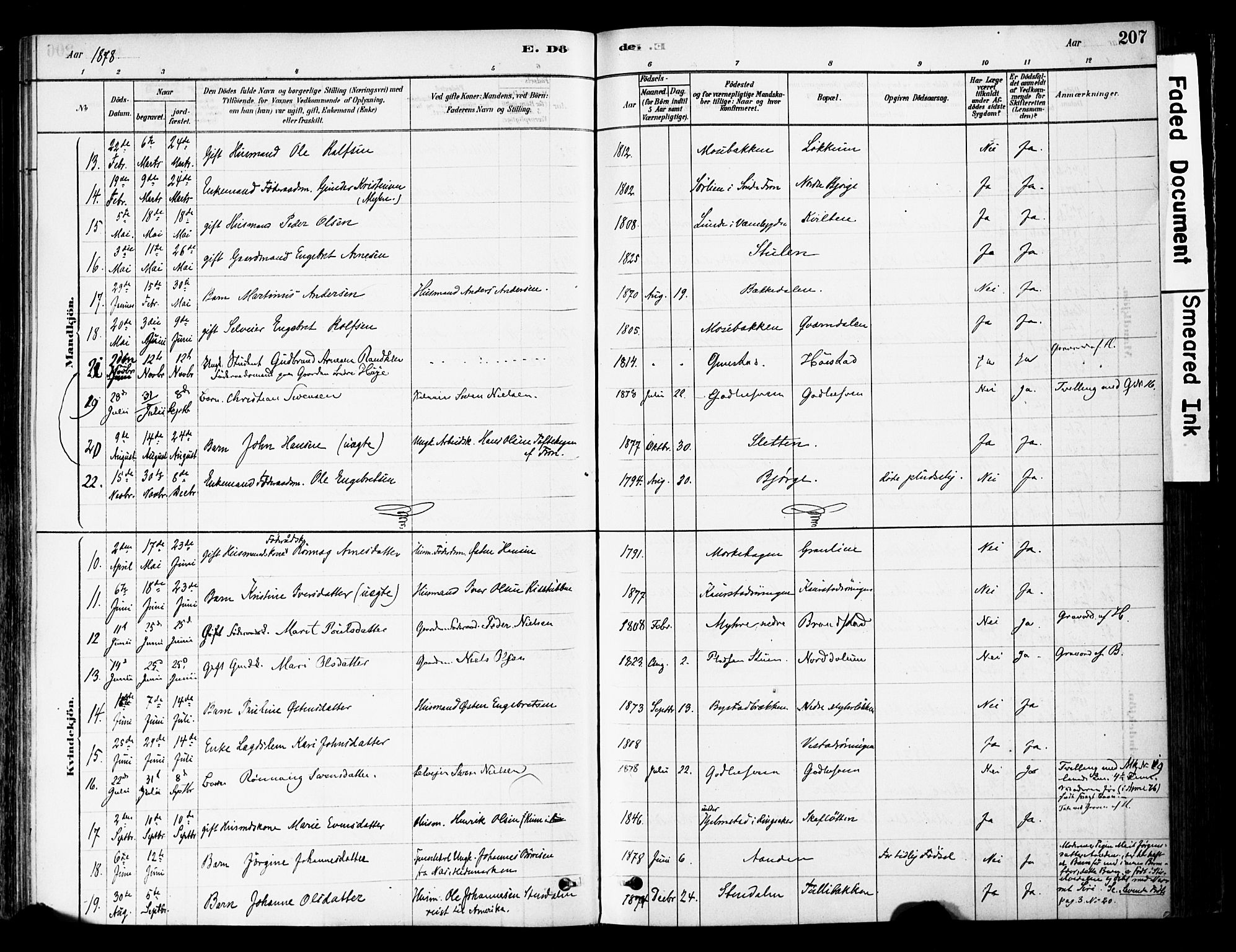 Ringebu prestekontor, AV/SAH-PREST-082/H/Ha/Haa/L0008: Parish register (official) no. 8, 1878-1898, p. 207