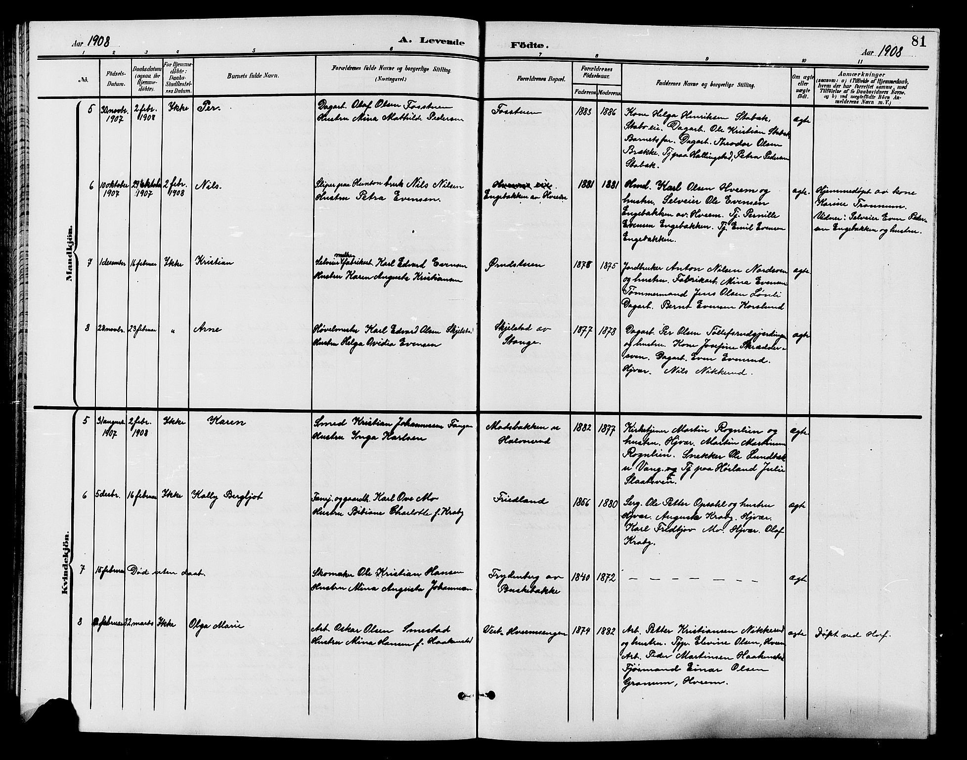 Østre Toten prestekontor, SAH/PREST-104/H/Ha/Hab/L0007: Parish register (copy) no. 7, 1901-1912, p. 81