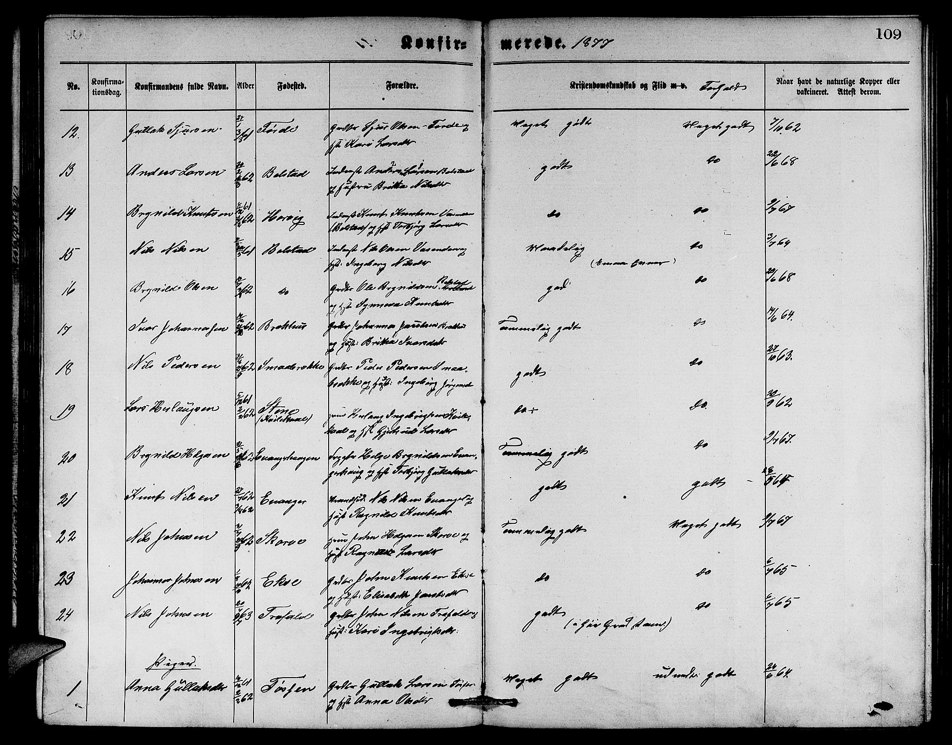 Evanger sokneprestembete, SAB/A-99924: Parish register (copy) no. A 3, 1875-1887, p. 109