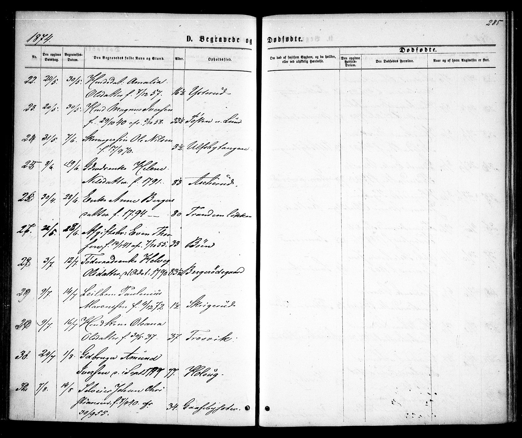 Rødenes prestekontor Kirkebøker, AV/SAO-A-2005/F/Fa/L0008: Parish register (official) no. I 8, 1869-1879, p. 285