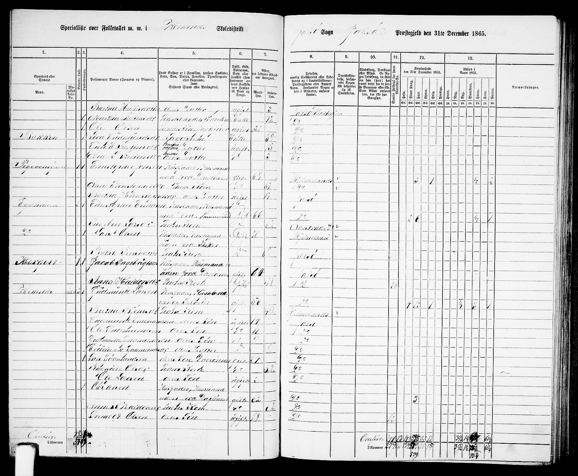 RA, 1865 census for Jelsa, 1865, p. 53