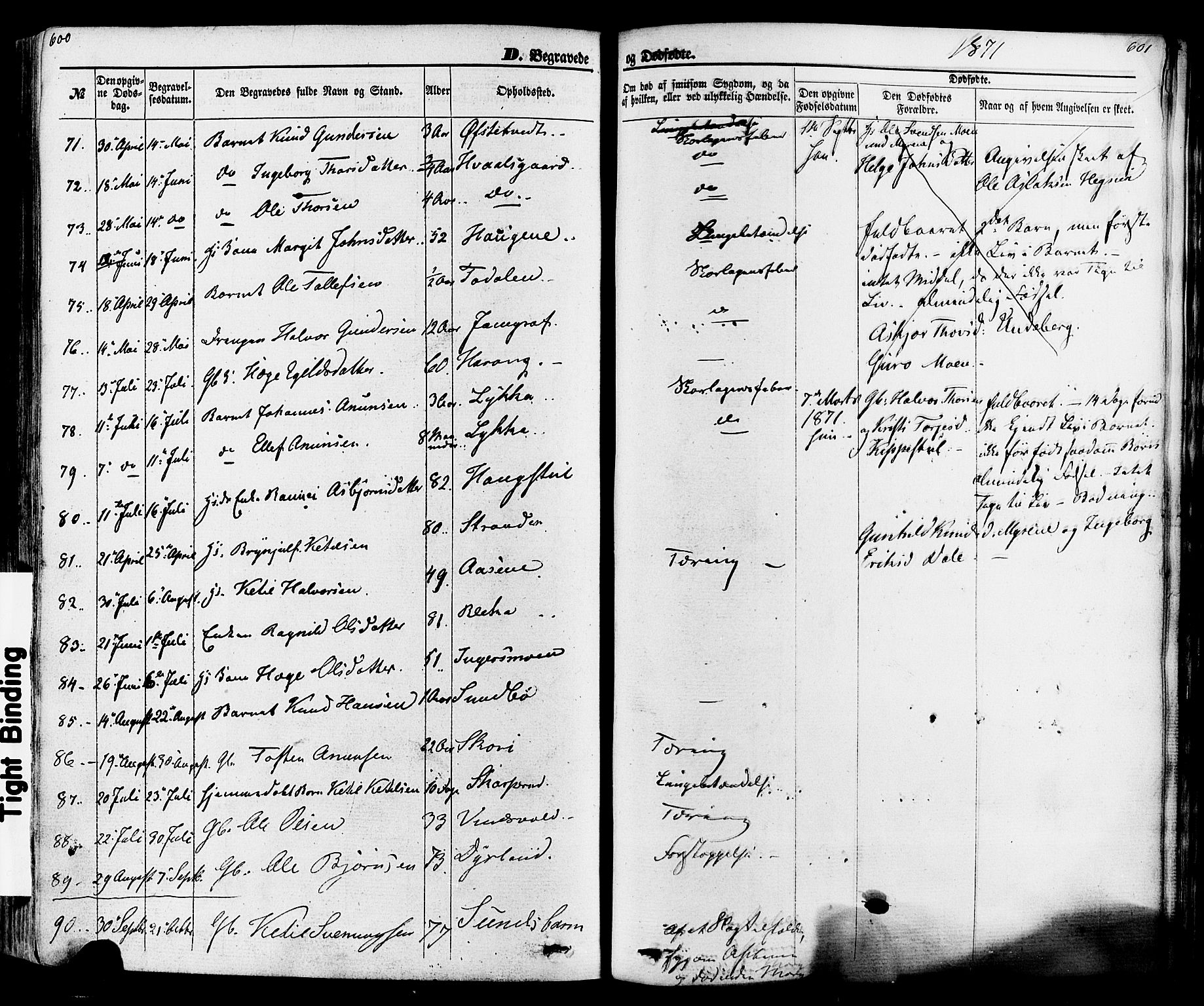 Seljord kirkebøker, SAKO/A-20/F/Fa/L0013: Parish register (official) no. I 13, 1866-1876, p. 600-601