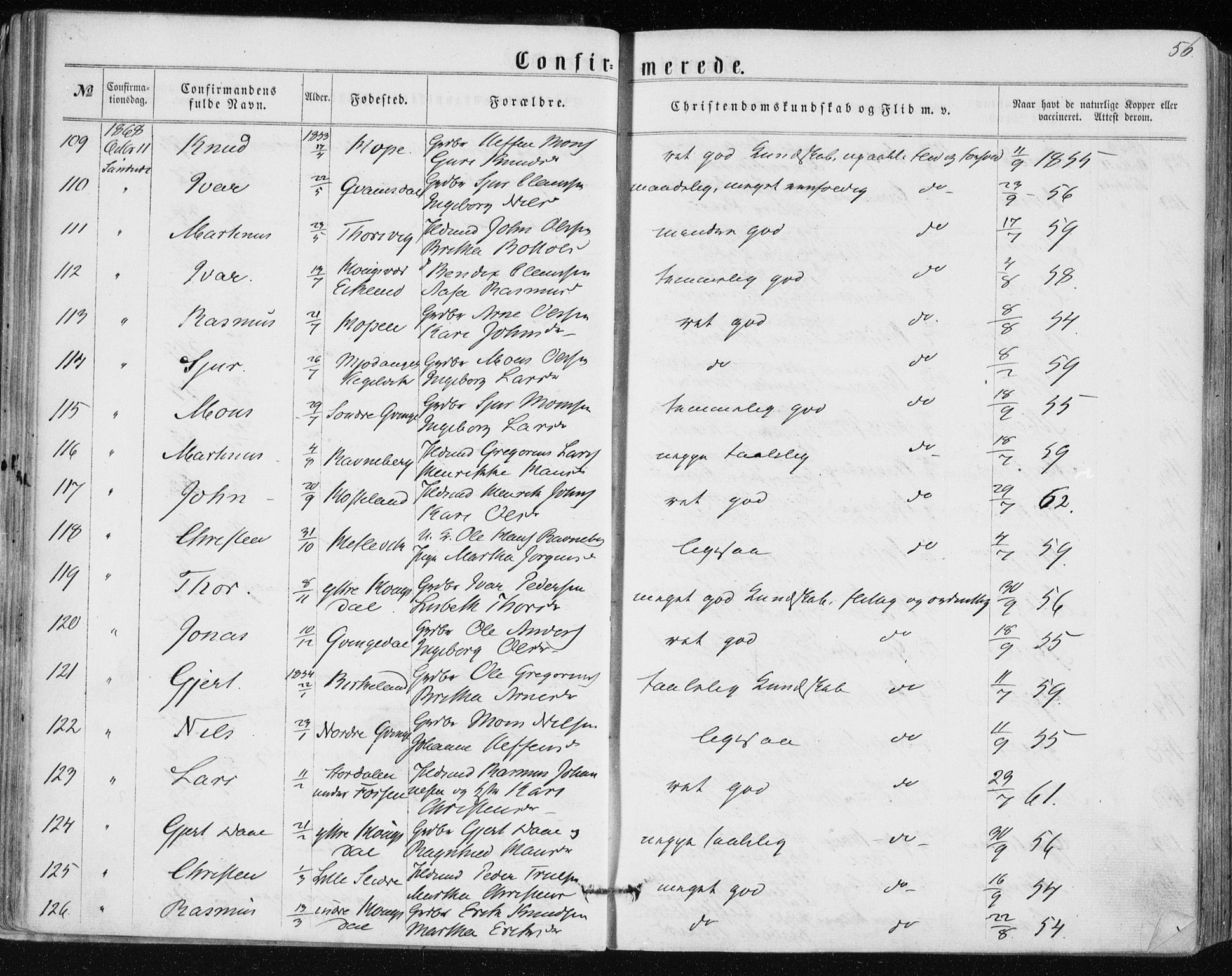 Lindås Sokneprestembete, SAB/A-76701/H/Haa: Parish register (official) no. A 16, 1863-1875, p. 56