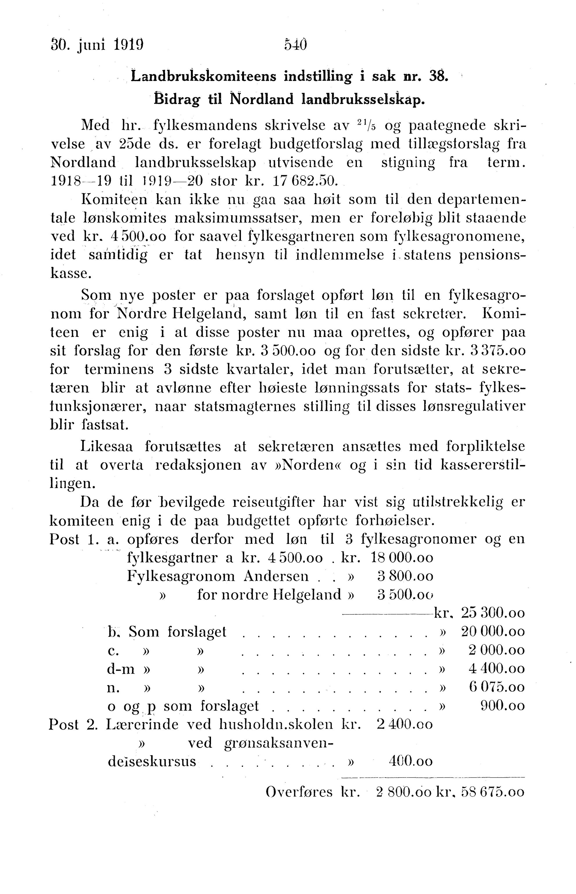 Nordland Fylkeskommune. Fylkestinget, AIN/NFK-17/176/A/Ac/L0042: Fylkestingsforhandlinger 1919, 1919