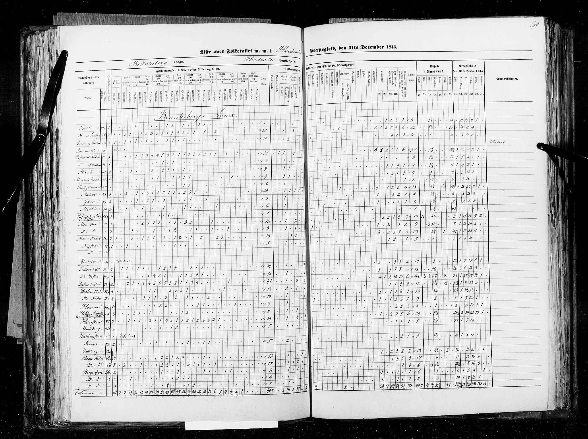 RA, Census 1845, vol. 5: Bratsberg amt og Nedenes og Råbyggelaget amt, 1845, p. 169