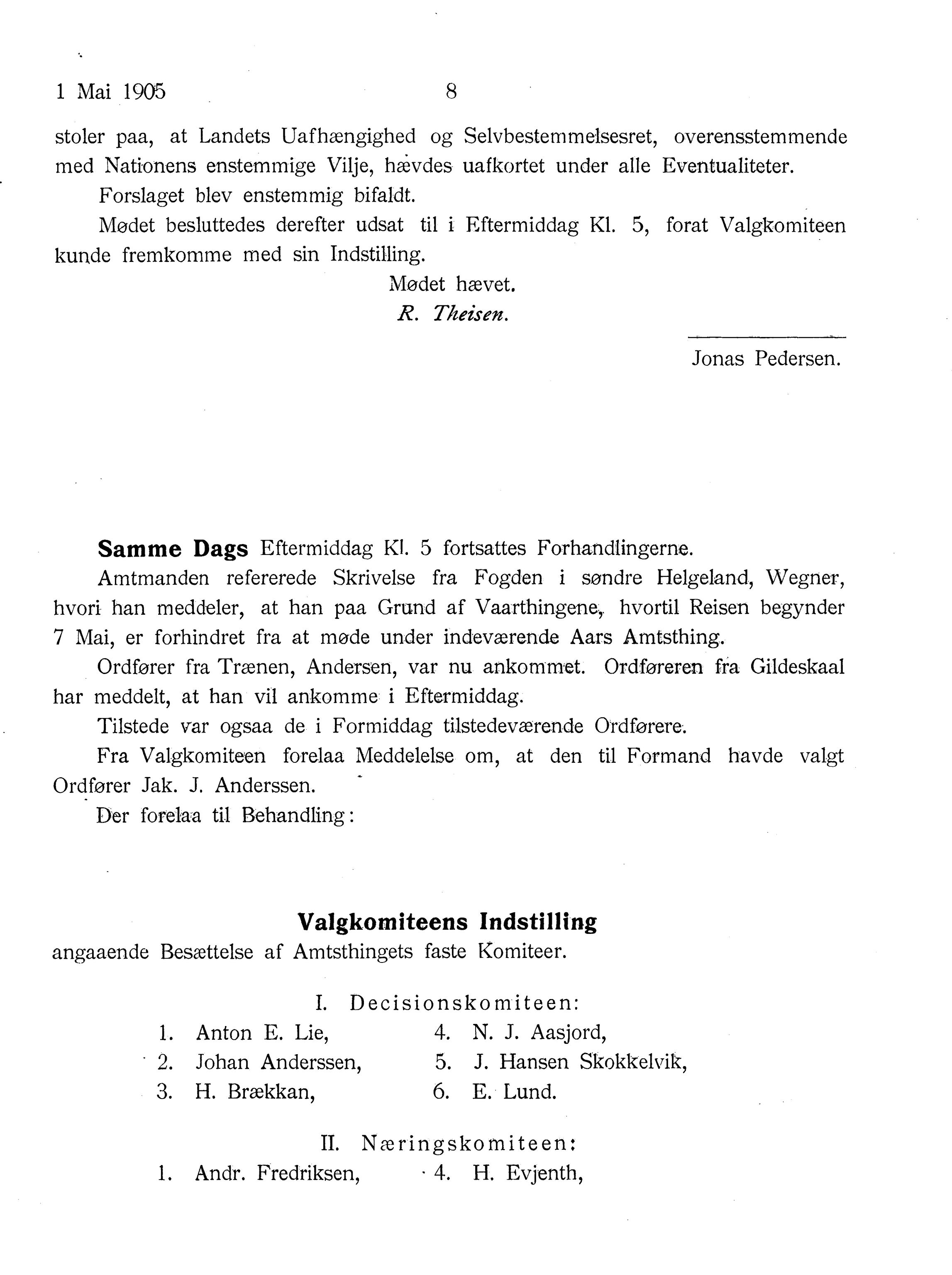 Nordland Fylkeskommune. Fylkestinget, AIN/NFK-17/176/A/Ac/L0028: Fylkestingsforhandlinger 1905, 1905