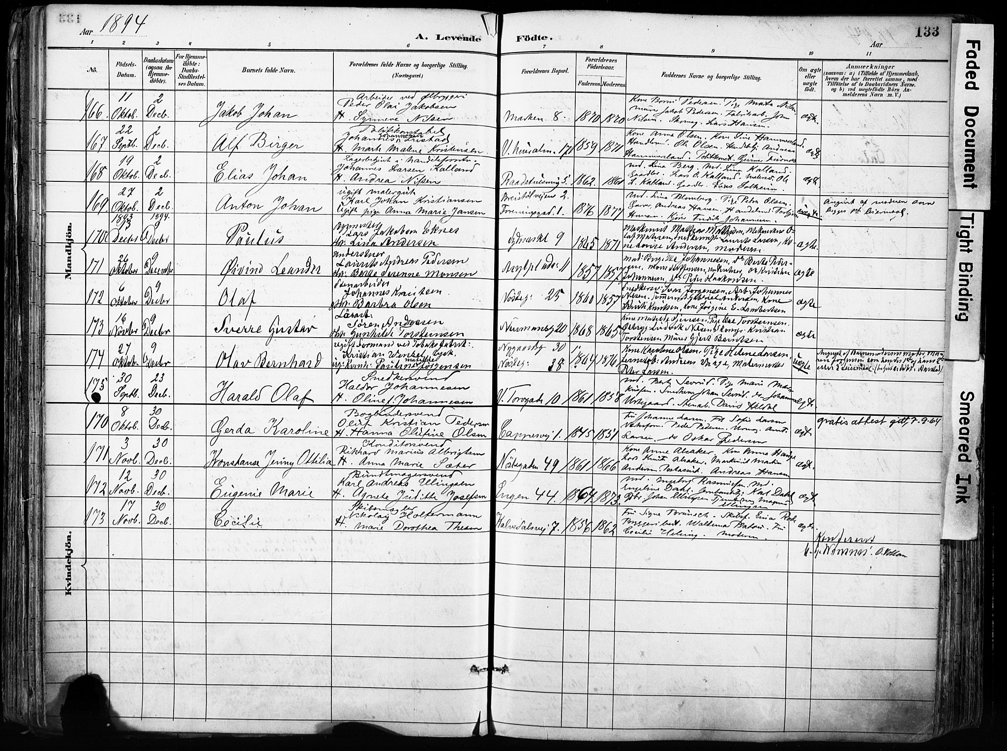 Domkirken sokneprestembete, SAB/A-74801/H/Haa/L0024: Parish register (official) no. B 7, 1888-1903, p. 133