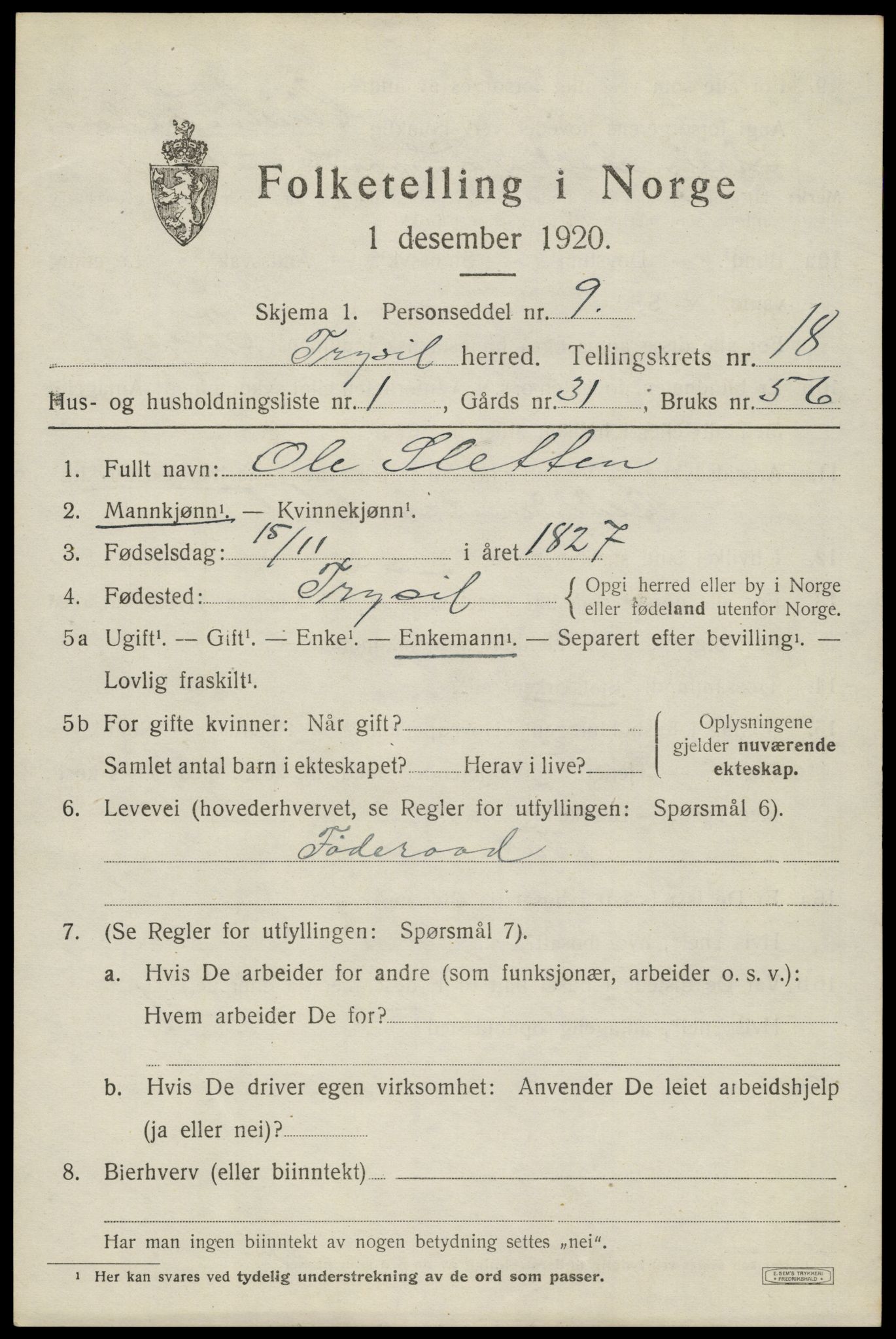 SAH, 1920 census for Trysil, 1920, p. 11919