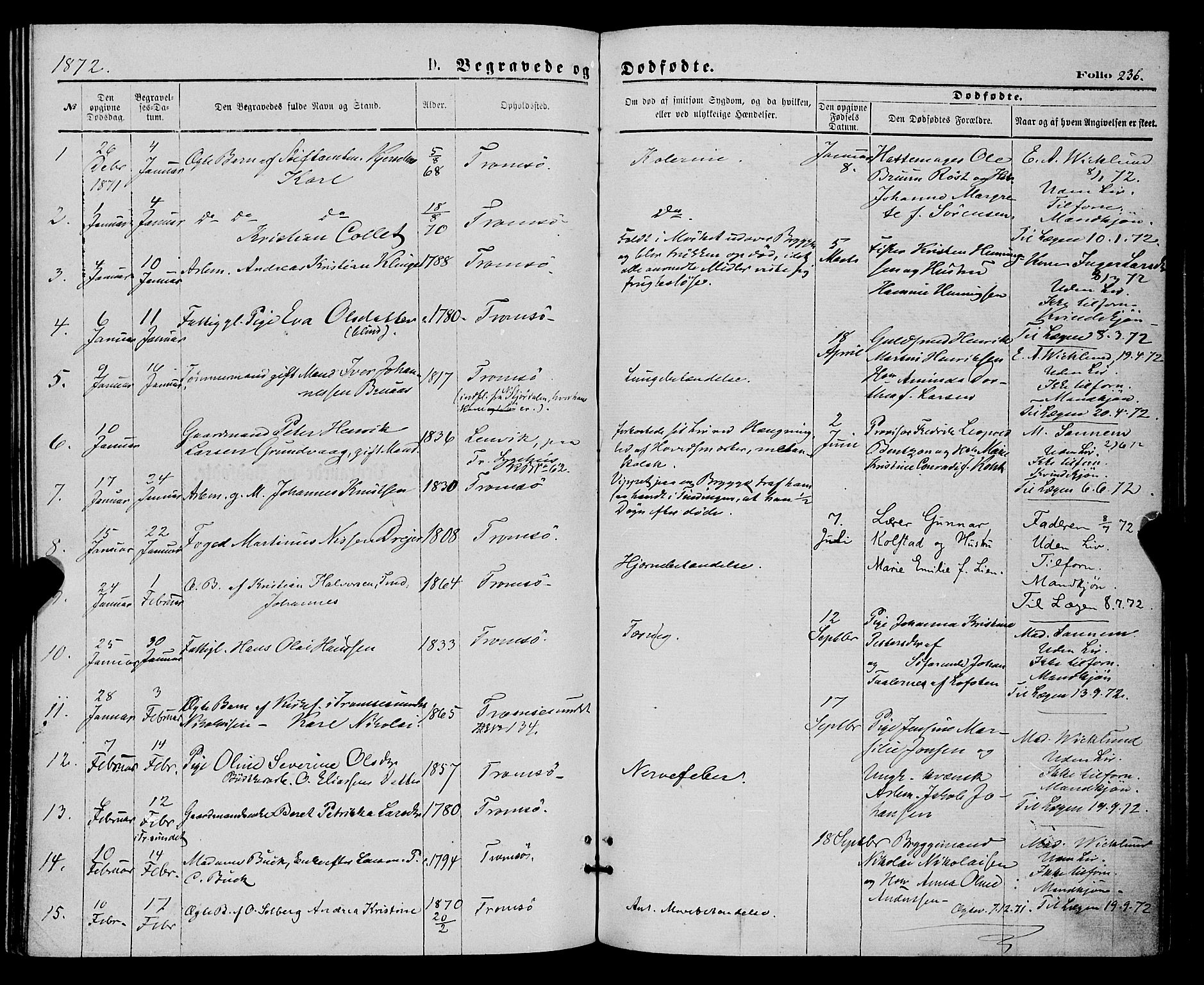 Tromsø sokneprestkontor/stiftsprosti/domprosti, SATØ/S-1343/G/Ga/L0013kirke: Parish register (official) no. 13, 1872-1877, p. 236