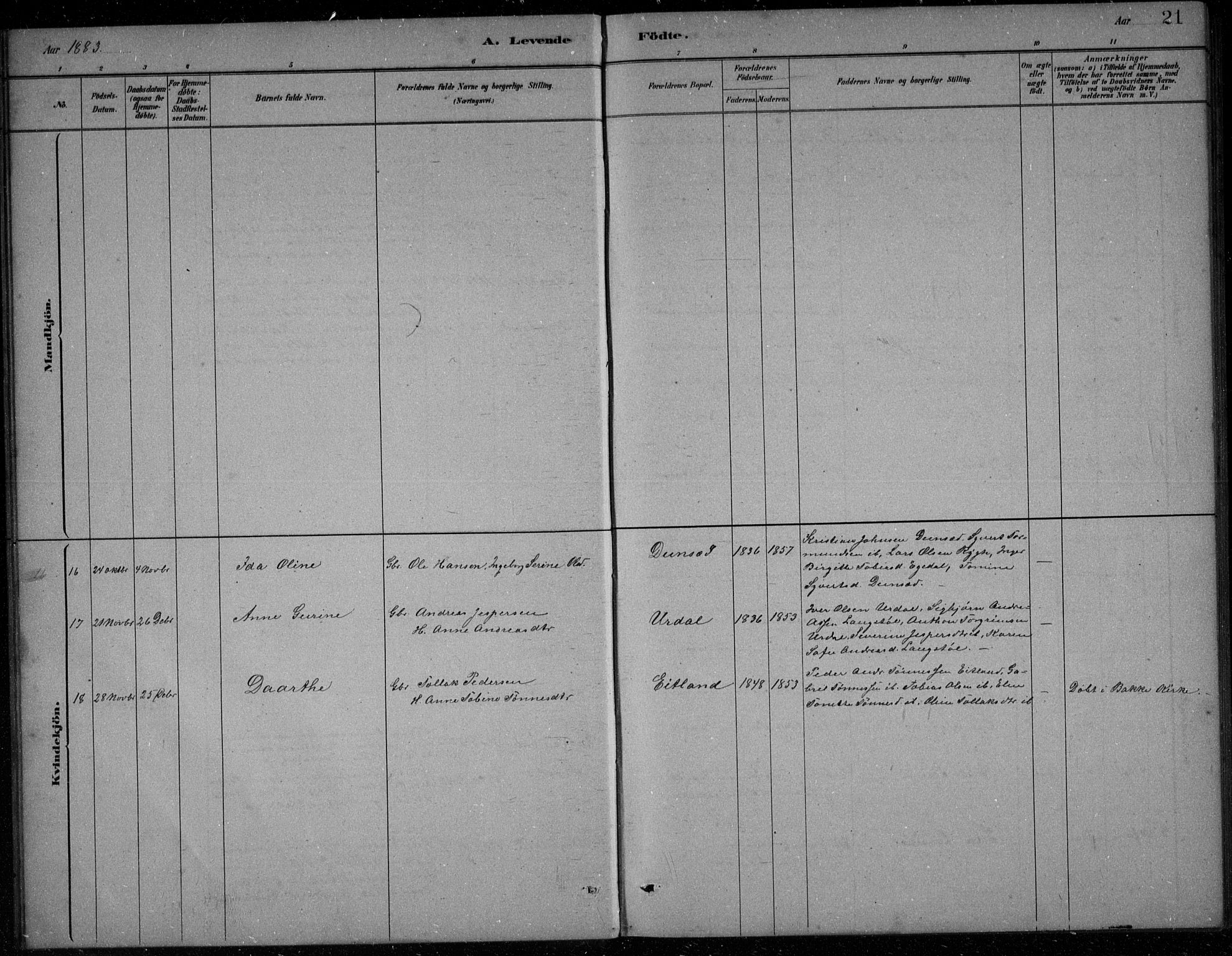 Bakke sokneprestkontor, AV/SAK-1111-0002/F/Fb/Fbb/L0003: Parish register (copy) no. B 3, 1878-1896, p. 21