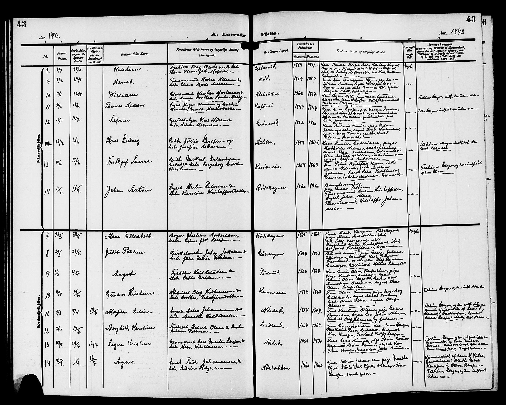 Strømsgodset kirkebøker, AV/SAKO-A-324/G/Ga/L0002: Parish register (copy) no. 2, 1885-1910, p. 43