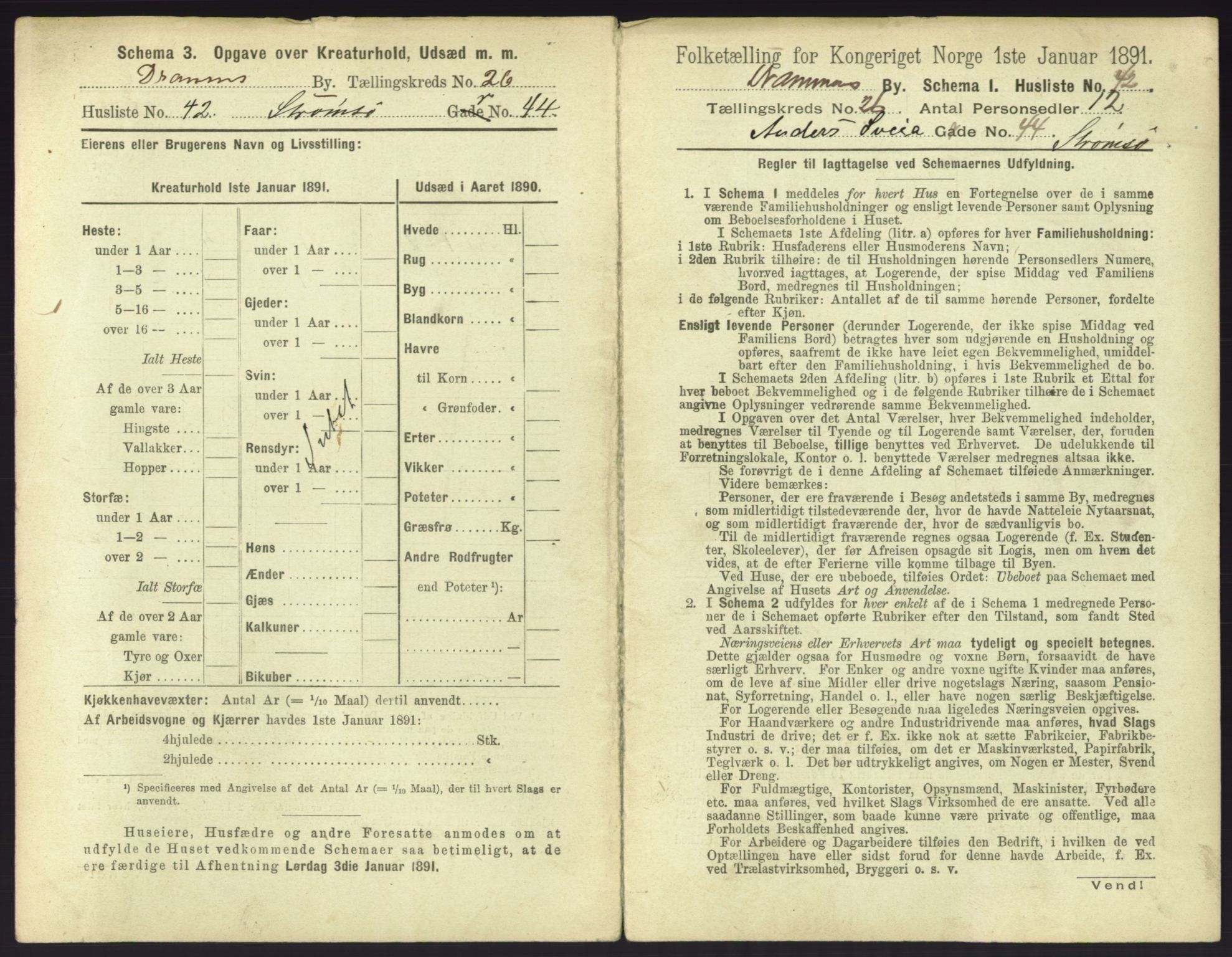 RA, 1891 census for 0602 Drammen, 1891, p. 2247