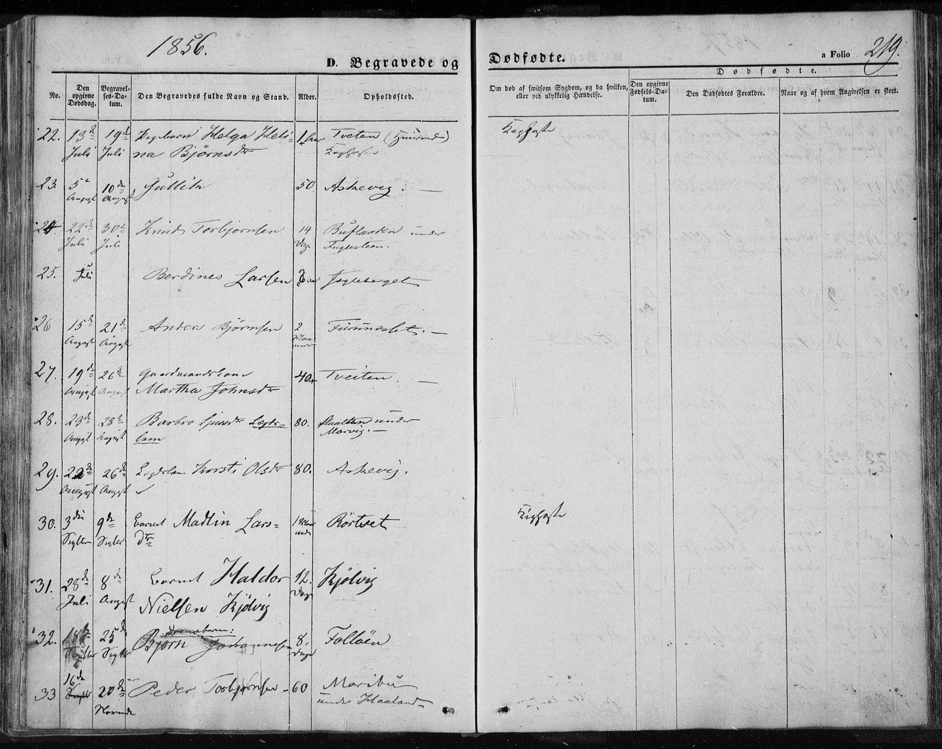 Jelsa sokneprestkontor, AV/SAST-A-101842/01/IV: Parish register (official) no. A 7, 1854-1866, p. 219