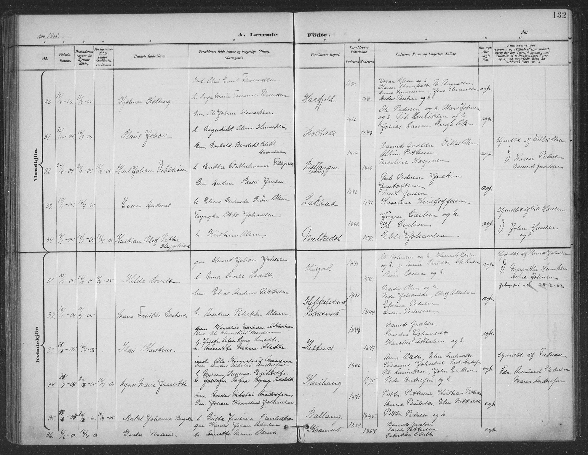 Ministerialprotokoller, klokkerbøker og fødselsregistre - Nordland, SAT/A-1459/863/L0899: Parish register (official) no. 863A11, 1897-1906, p. 132