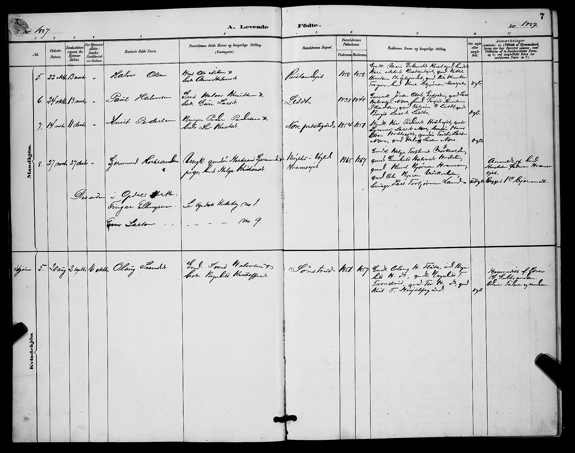 Nore kirkebøker, AV/SAKO-A-238/G/Ga/L0003: Parish register (copy) no. I 3, 1886-1903, p. 7