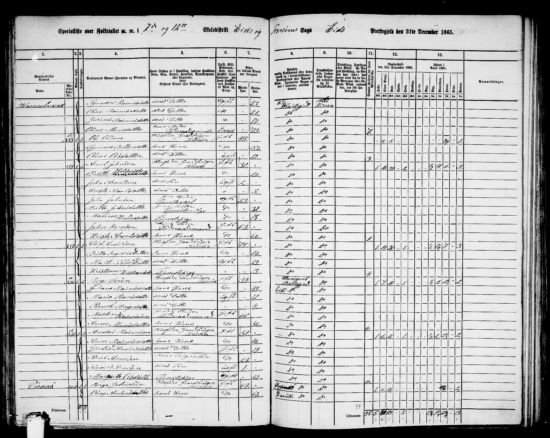 RA, 1865 census for Eid, 1865, p. 156