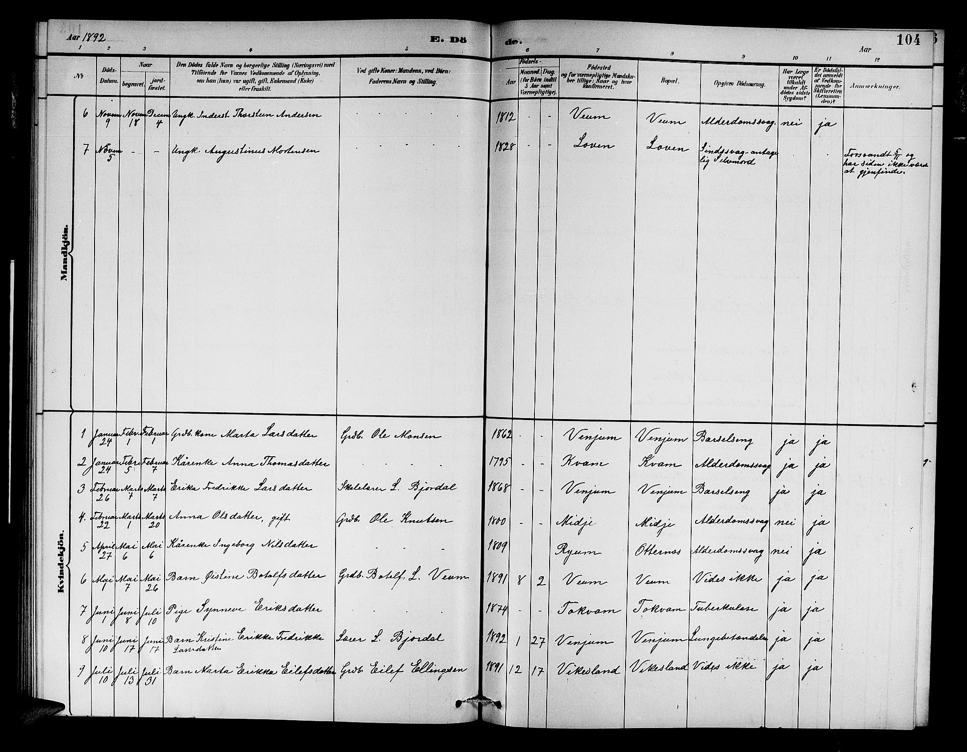 Aurland sokneprestembete, SAB/A-99937/H/Hb/Hba/L0002: Parish register (copy) no. A 2, 1880-1895, p. 104