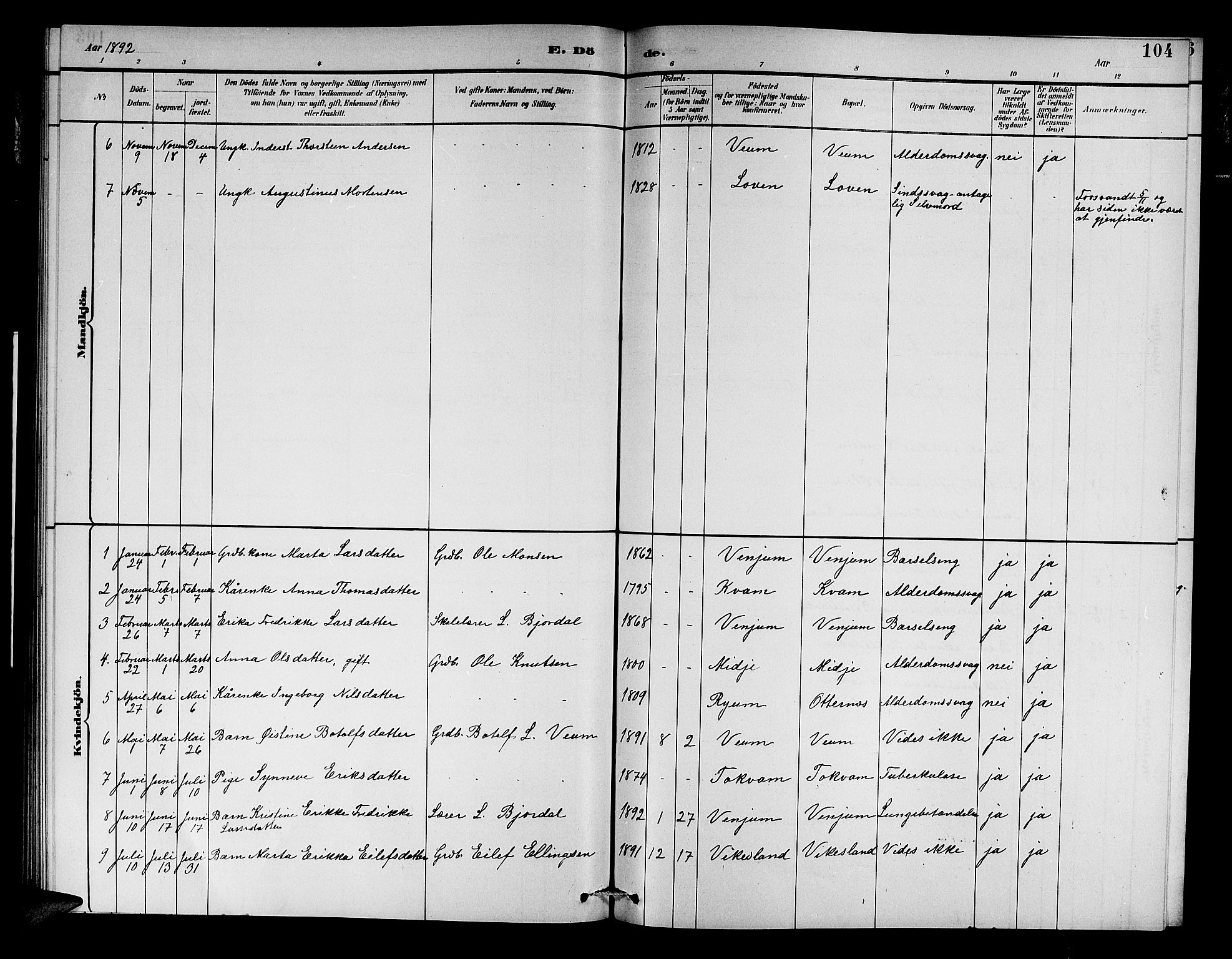 Aurland sokneprestembete, AV/SAB-A-99937/H/Hb/Hba/L0002: Parish register (copy) no. A 2, 1880-1895, p. 104