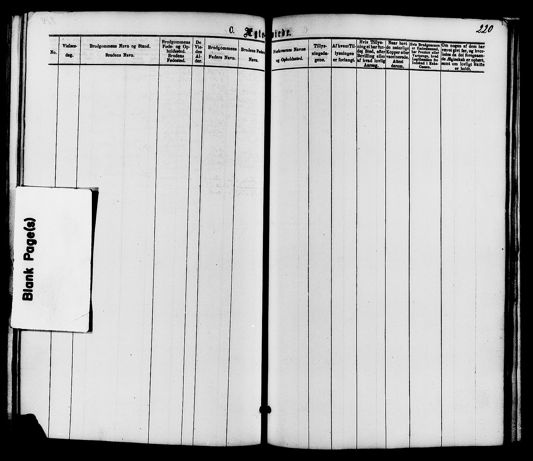 Nordre Land prestekontor, SAH/PREST-124/H/Ha/Haa/L0002: Parish register (official) no. 2, 1872-1881, p. 220
