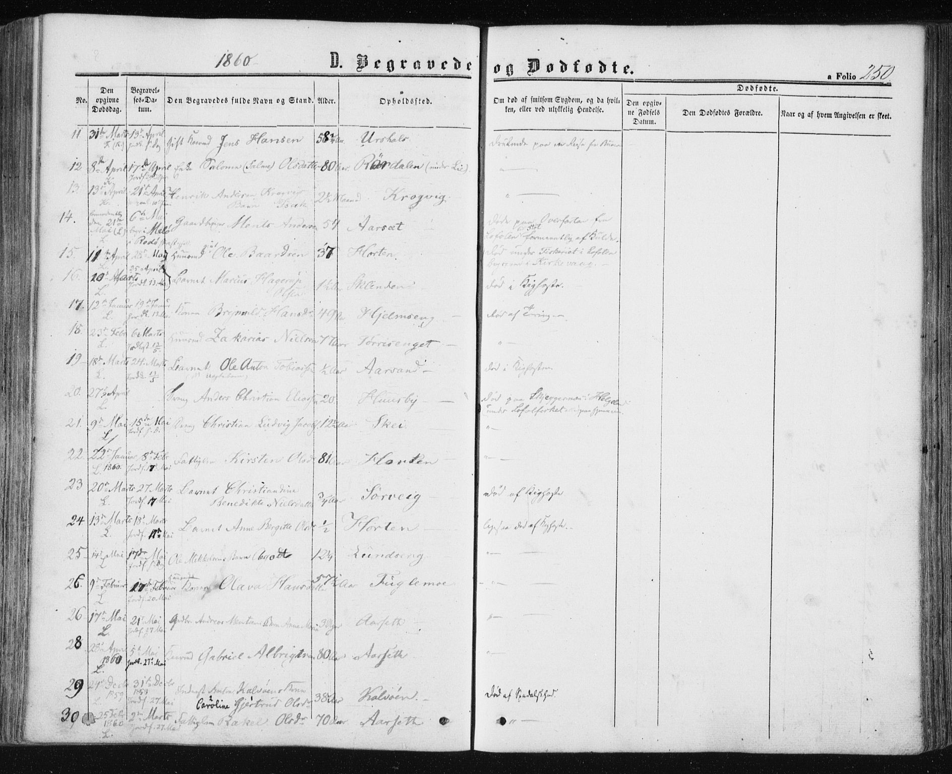 Ministerialprotokoller, klokkerbøker og fødselsregistre - Nord-Trøndelag, SAT/A-1458/780/L0641: Parish register (official) no. 780A06, 1857-1874, p. 250