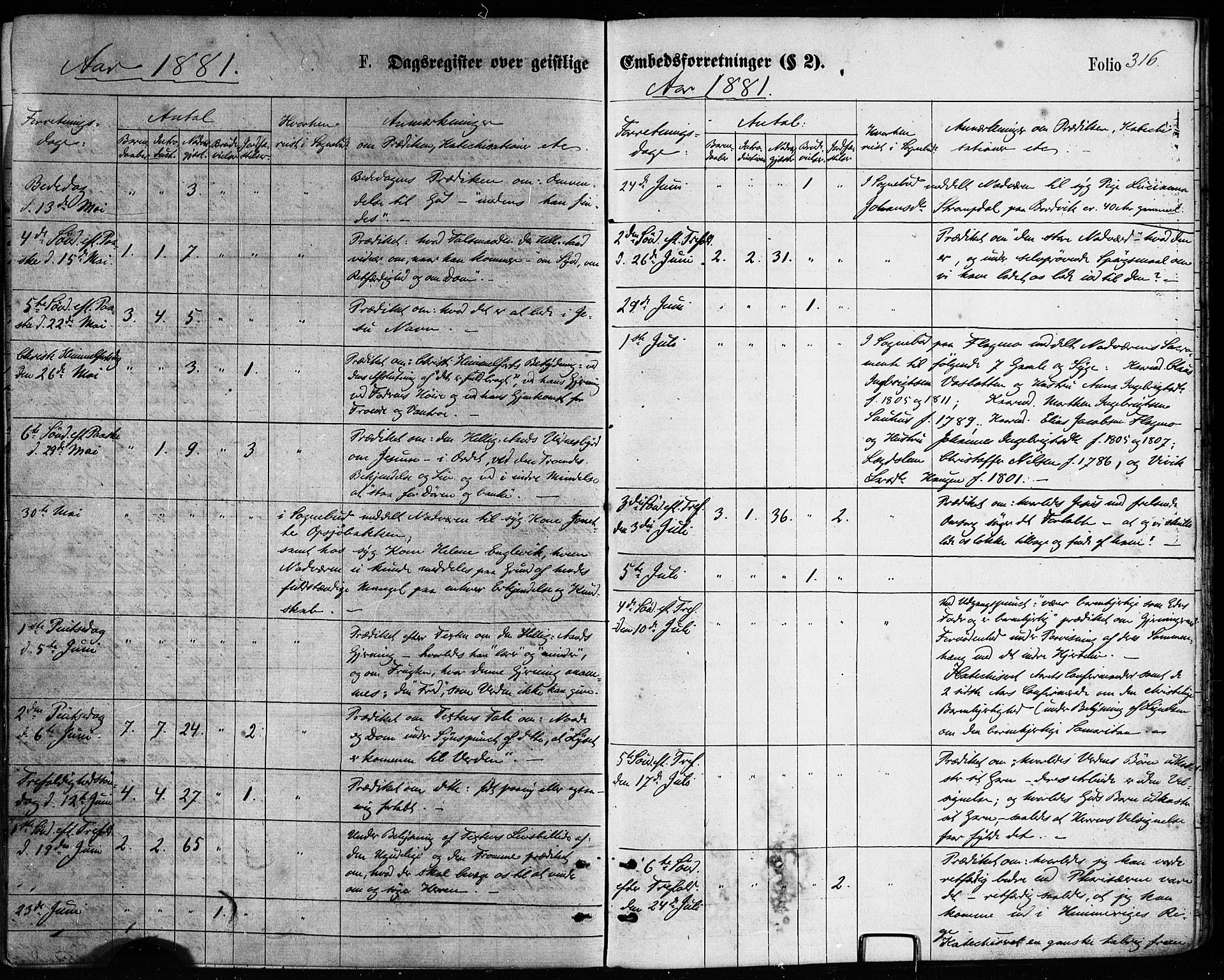 Ministerialprotokoller, klokkerbøker og fødselsregistre - Nordland, AV/SAT-A-1459/814/L0225: Parish register (official) no. 814A06, 1875-1885, p. 316