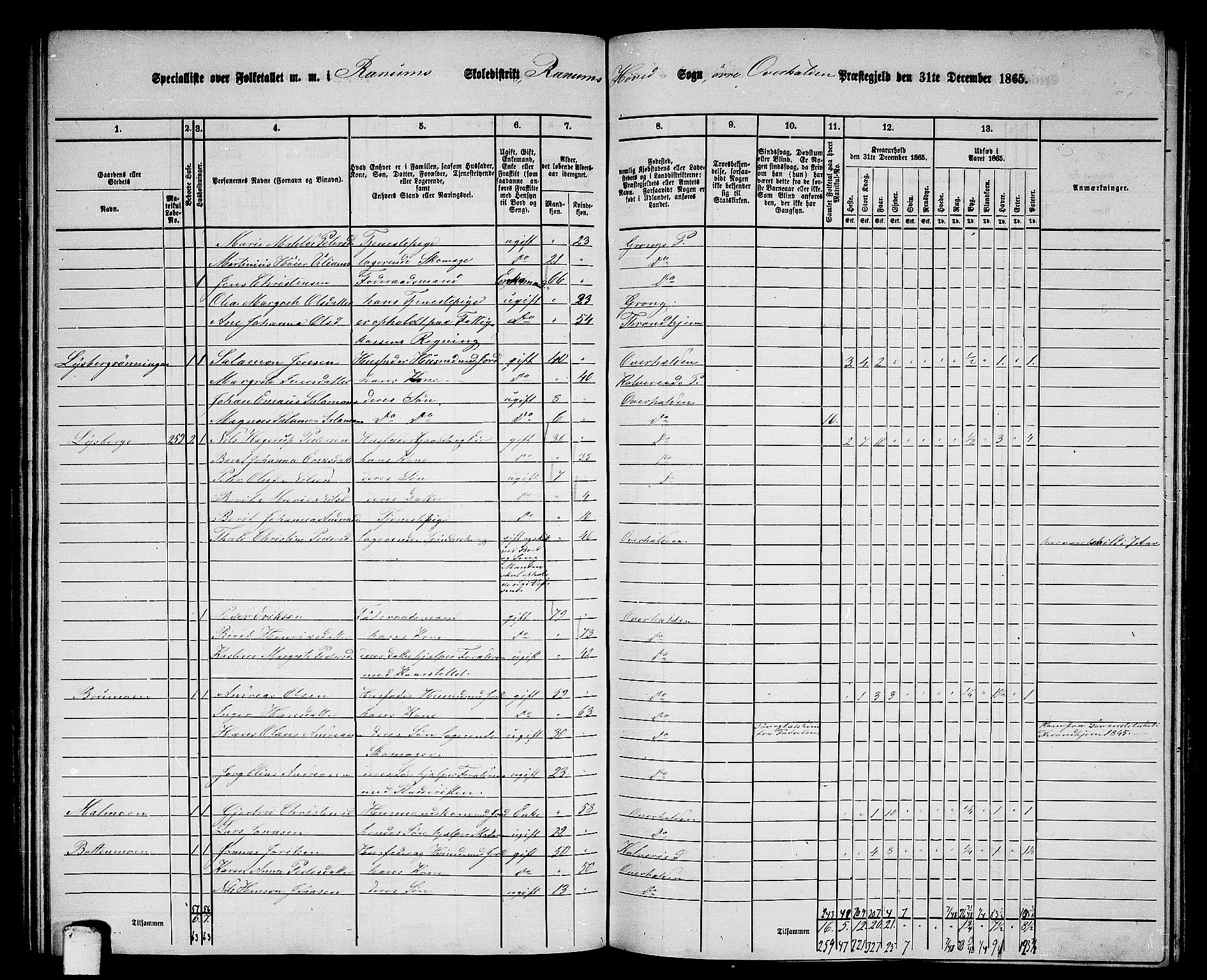 RA, 1865 census for Overhalla, 1865, p. 29