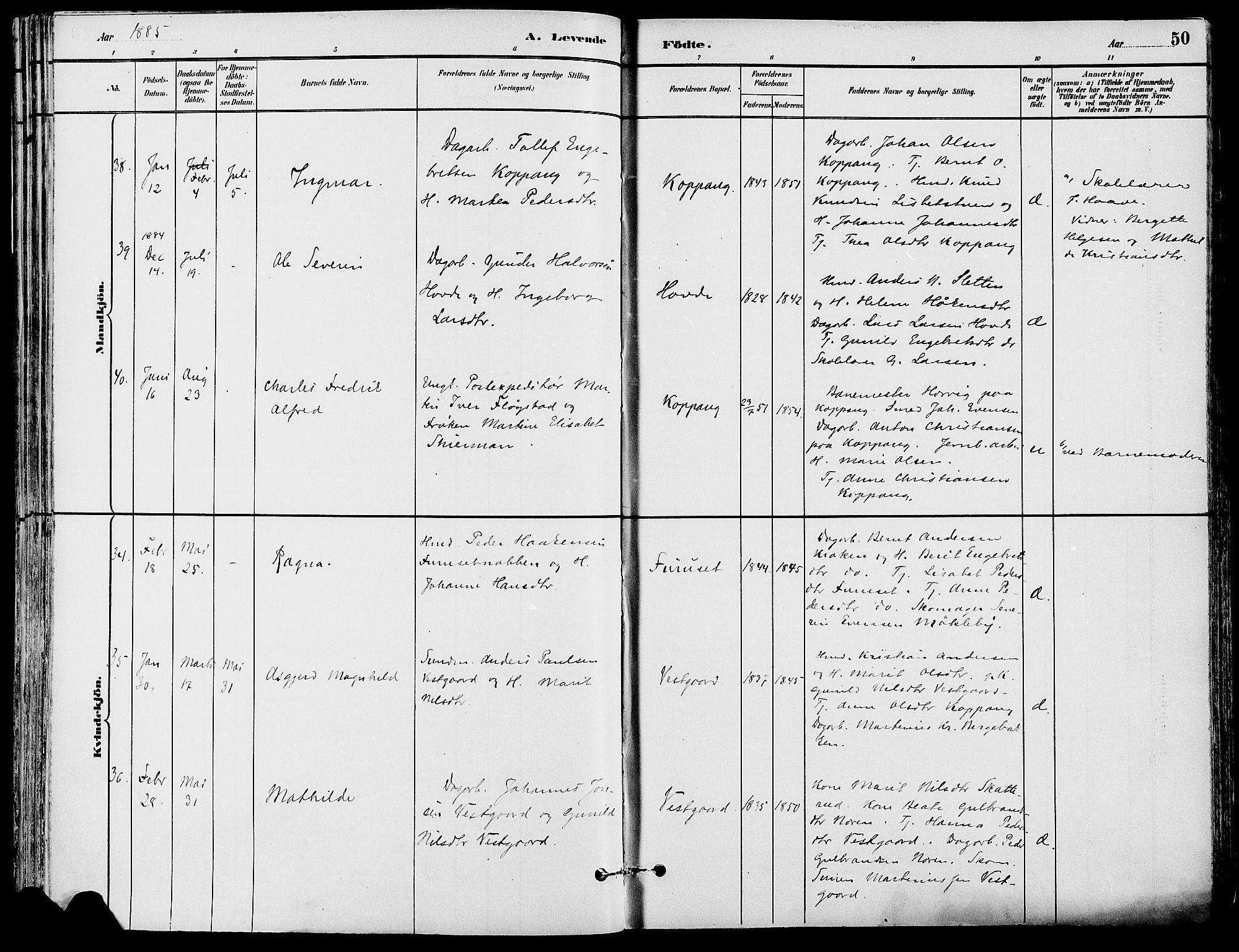 Stor-Elvdal prestekontor, SAH/PREST-052/H/Ha/Haa/L0002: Parish register (official) no. 2, 1882-1907, p. 50