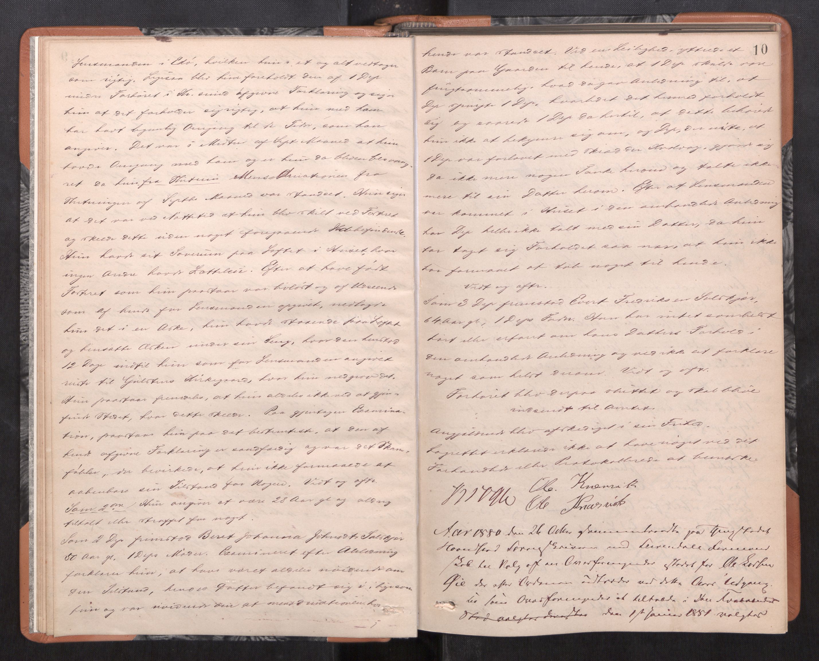 Nordmøre sorenskriveri, AV/SAT-A-4132/1/1/1B/L0019: Ekstrarettsprotokoll, 1880-1883, p. 9b-10a