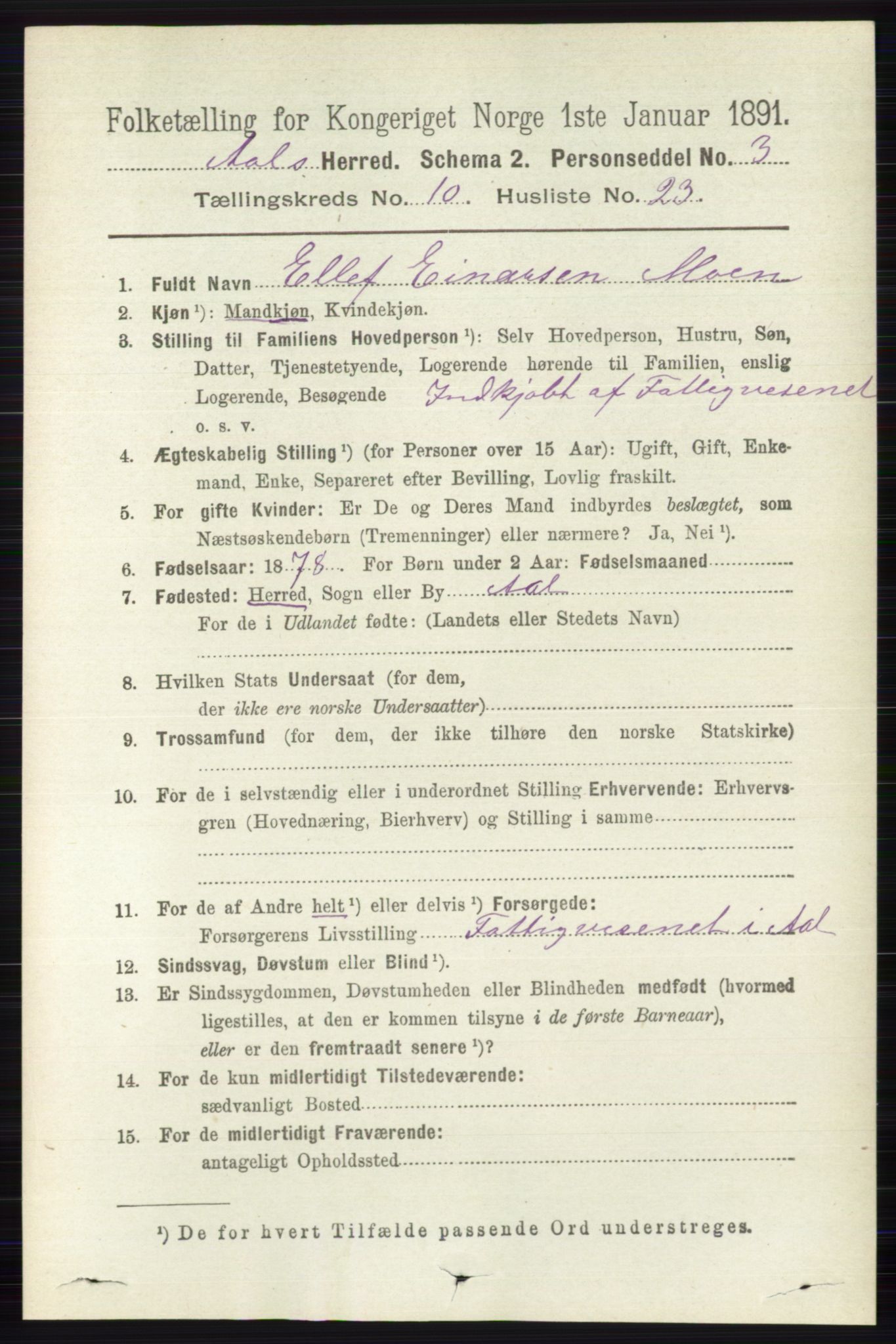 RA, 1891 census for 0619 Ål, 1891, p. 2803