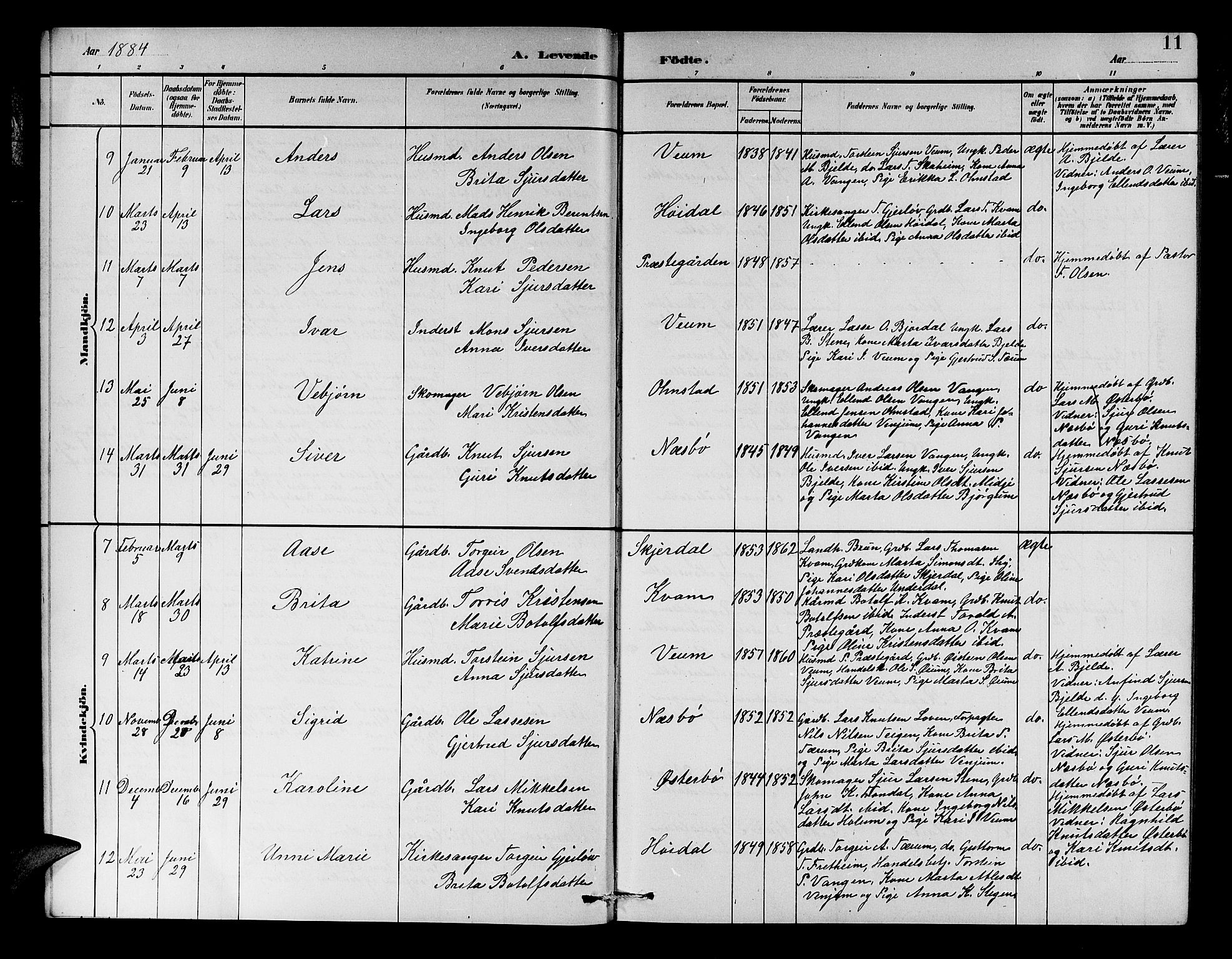 Aurland sokneprestembete, SAB/A-99937/H/Hb/Hba/L0002: Parish register (copy) no. A 2, 1880-1895, p. 11