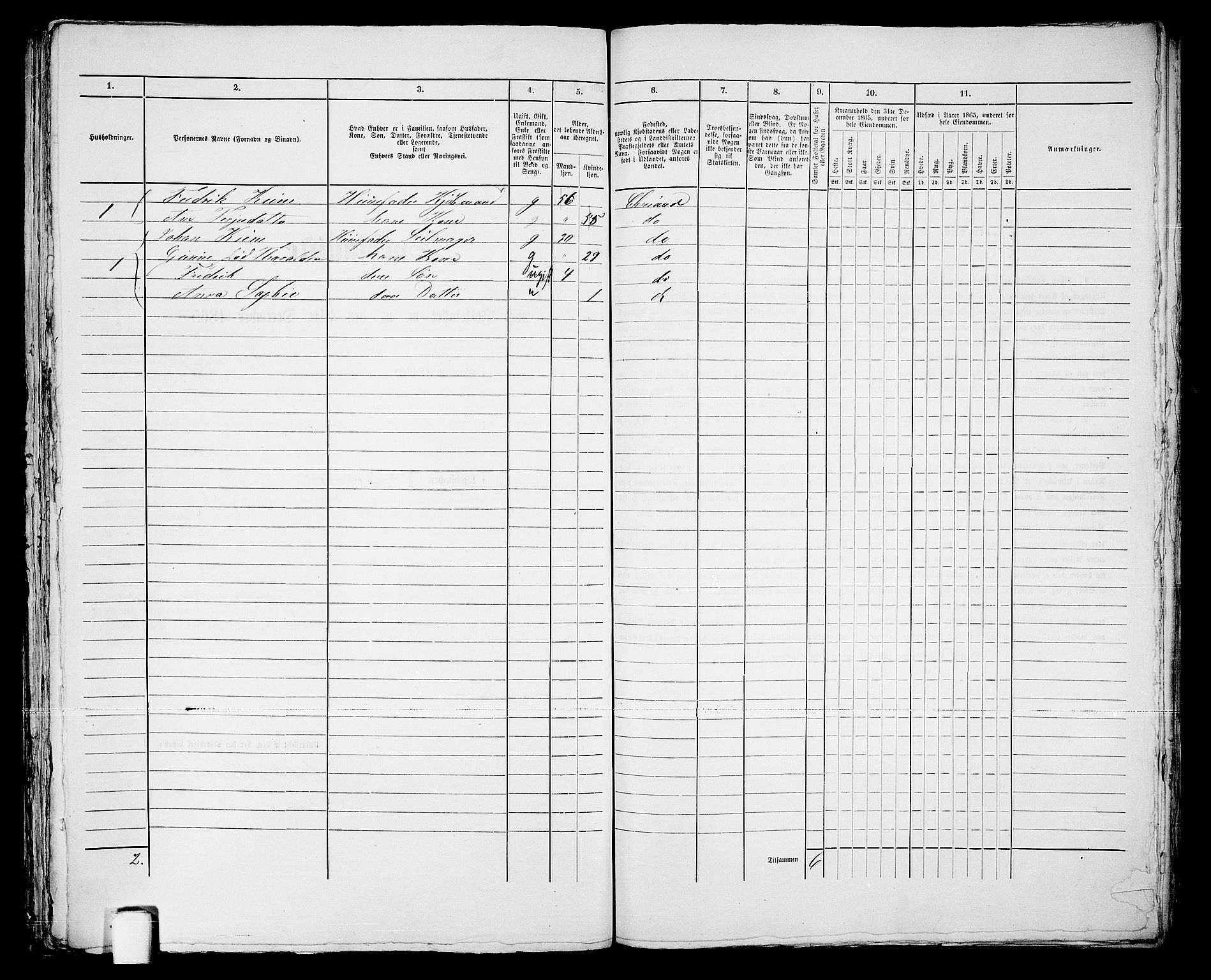 RA, 1865 census for Kristiansand, 1865, p. 987