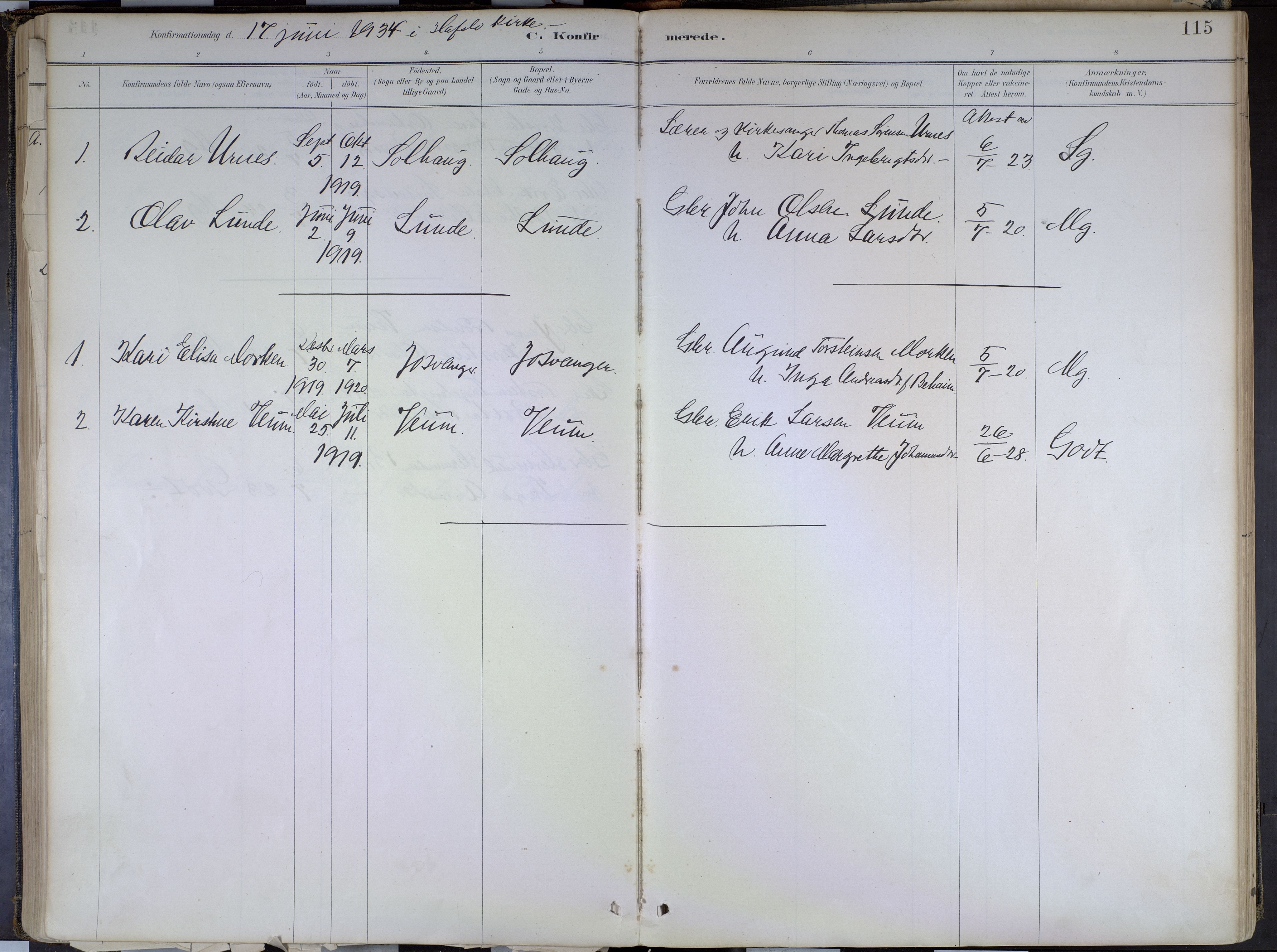 Hafslo sokneprestembete, SAB/A-80301/H/Haa/Haad/L0001: Parish register (official) no. D 1, 1886-1934, p. 115