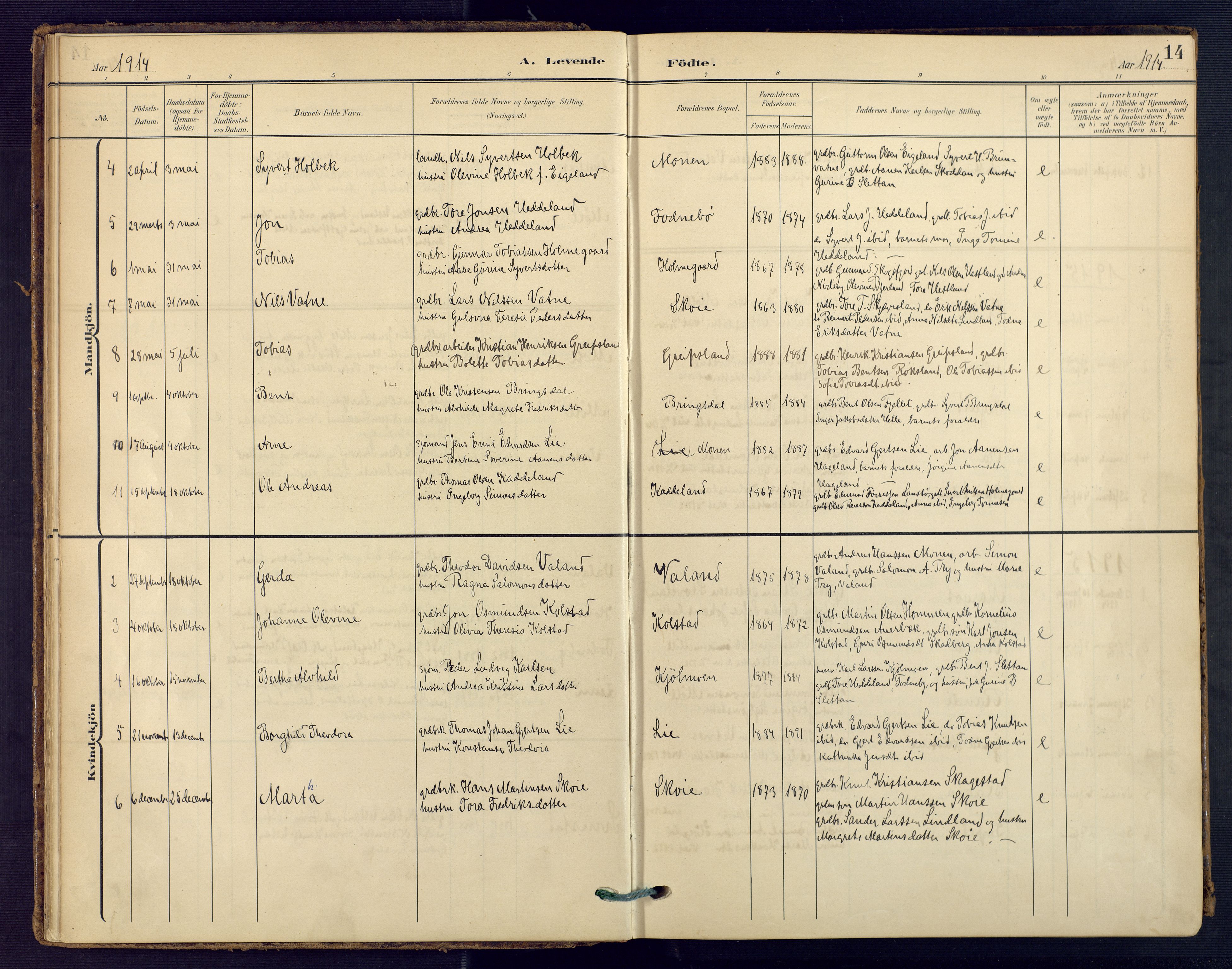 Holum sokneprestkontor, SAK/1111-0022/F/Fa/Faa/L0008: Parish register (official) no. A 8, 1908-1929, p. 14