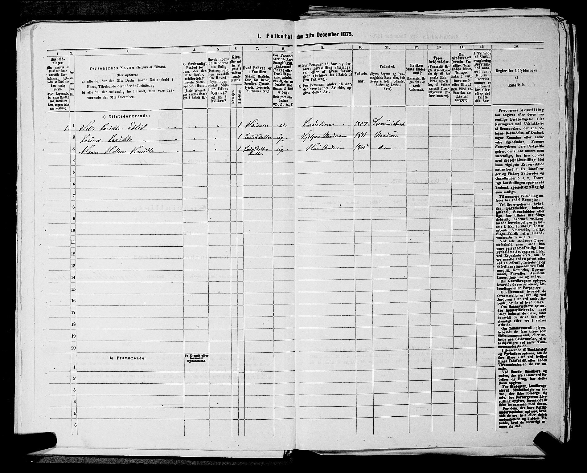 SAKO, 1875 census for 0623P Modum, 1875, p. 1820