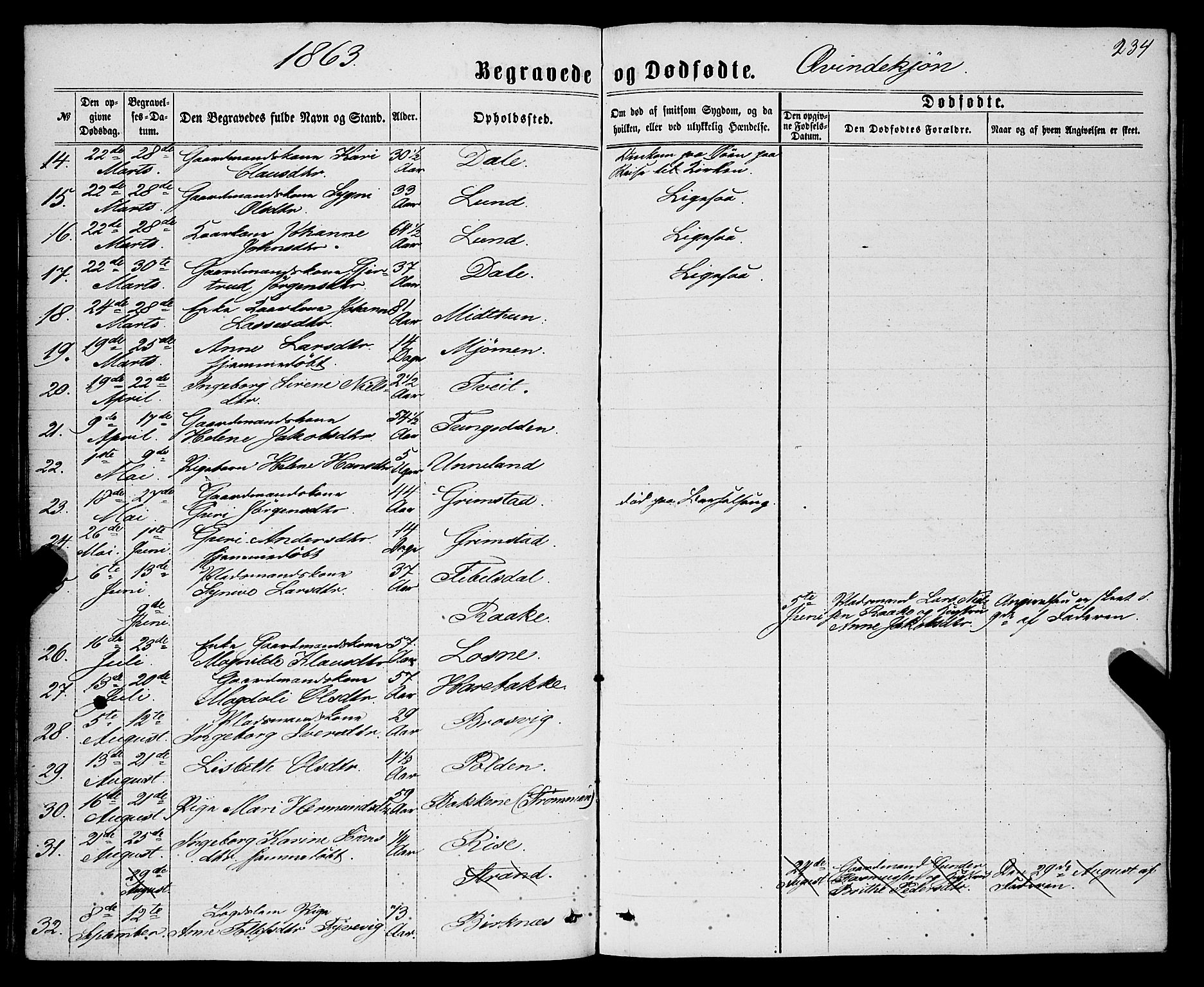 Gulen sokneprestembete, AV/SAB-A-80201/H/Haa/Haaa/L0022: Parish register (official) no. A 22, 1859-1869, p. 234