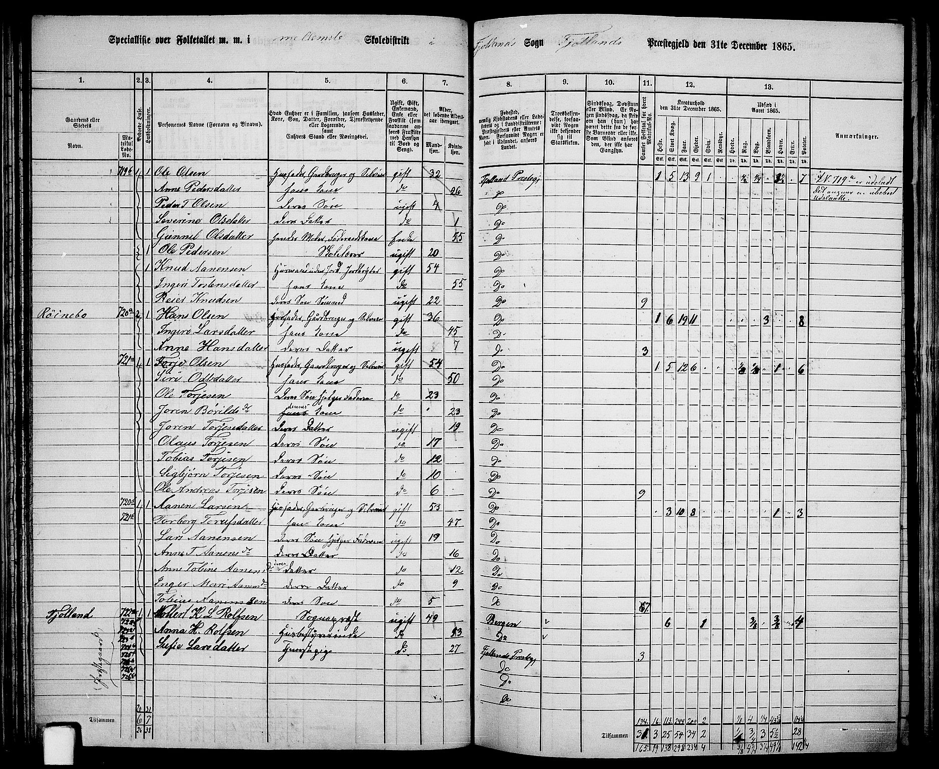 RA, 1865 census for Fjotland, 1865, p. 41