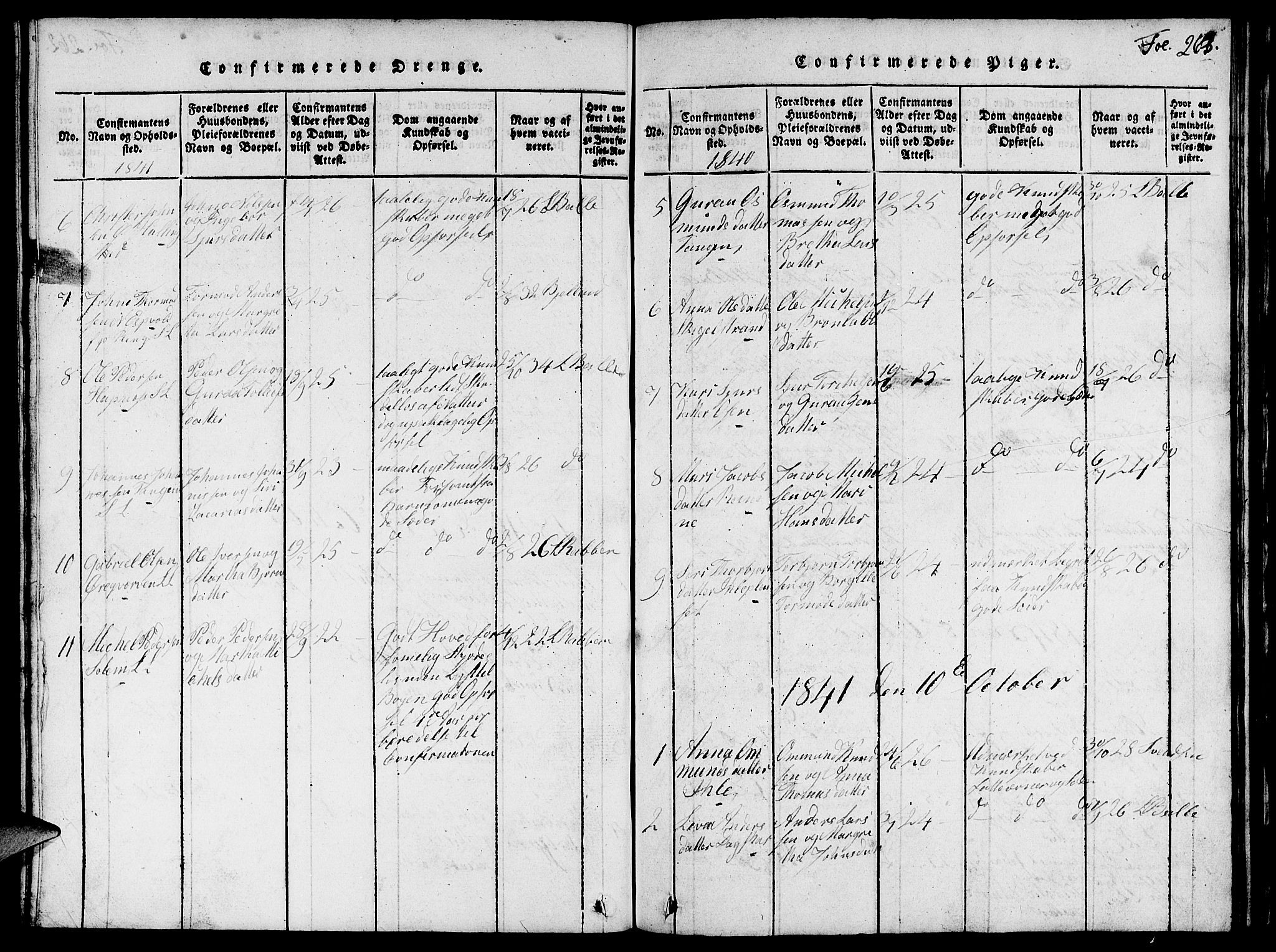 Vikedal sokneprestkontor, AV/SAST-A-101840/01/V: Parish register (copy) no. B 1, 1816-1853, p. 263