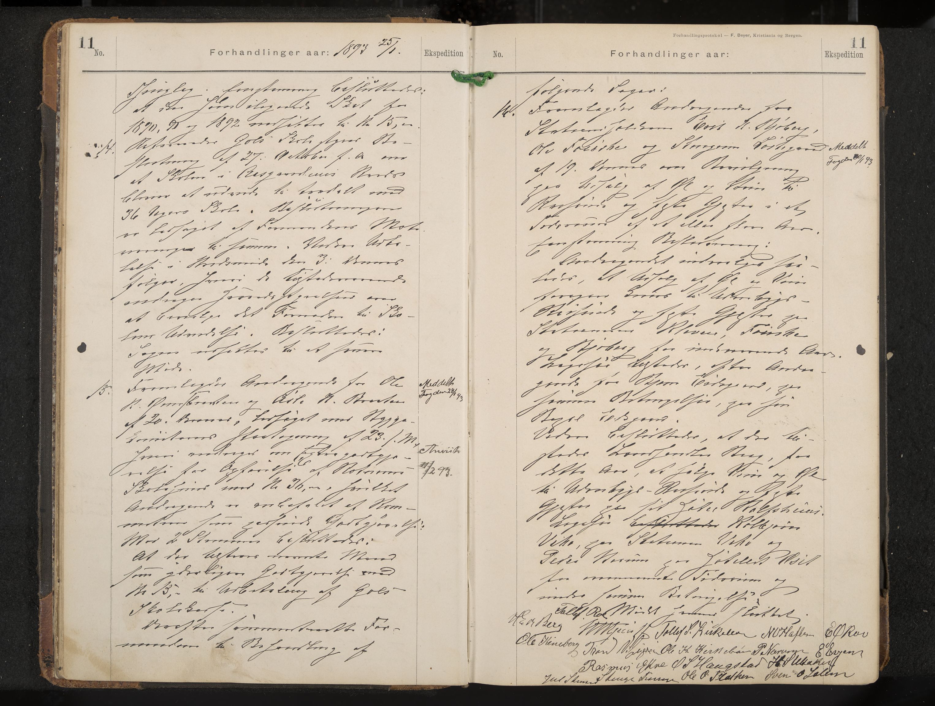 Gol formannskap og sentraladministrasjon, IKAK/0617021-1/A/Aa/L0003: Møtebok, 1892-1905, p. 11