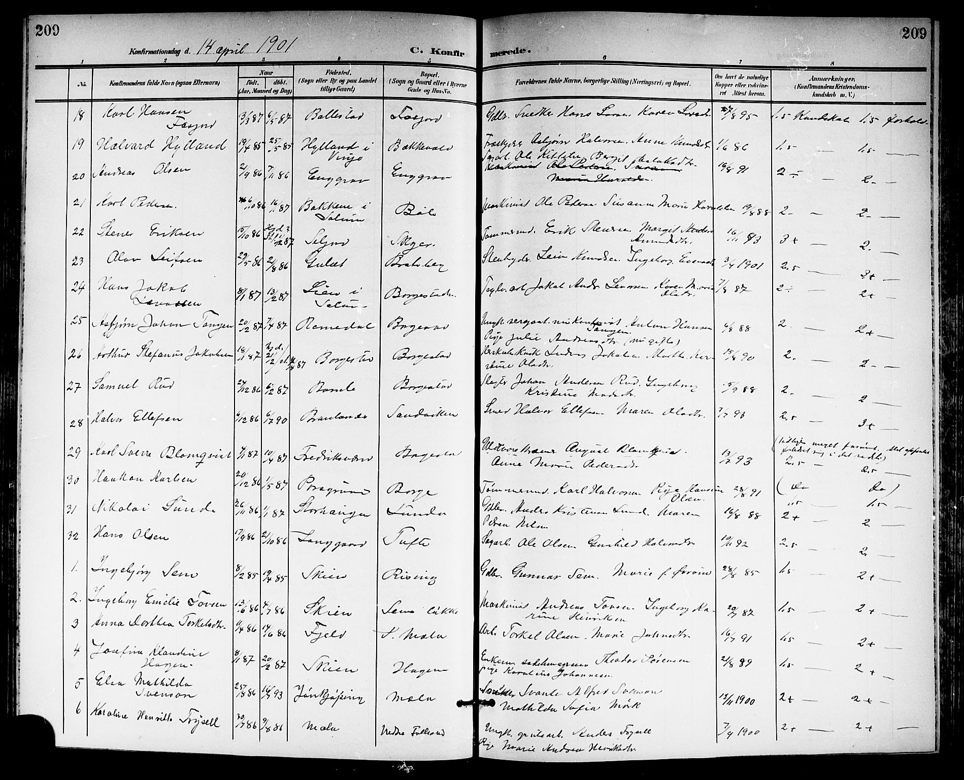 Gjerpen kirkebøker, SAKO/A-265/G/Ga/L0003: Parish register (copy) no. I 3, 1901-1919, p. 209
