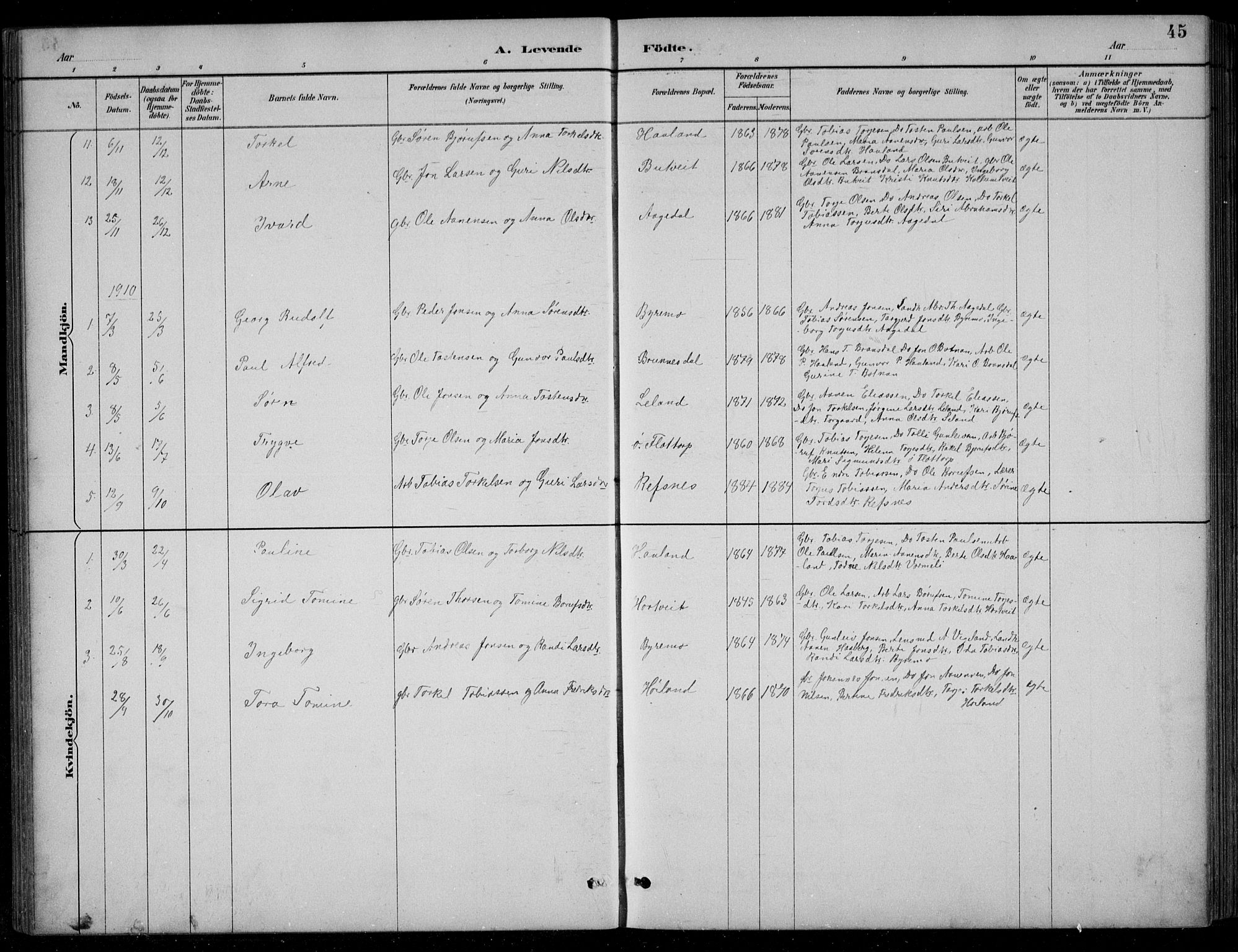 Bjelland sokneprestkontor, SAK/1111-0005/F/Fb/Fbc/L0003: Parish register (copy) no. B 3, 1887-1924, p. 45