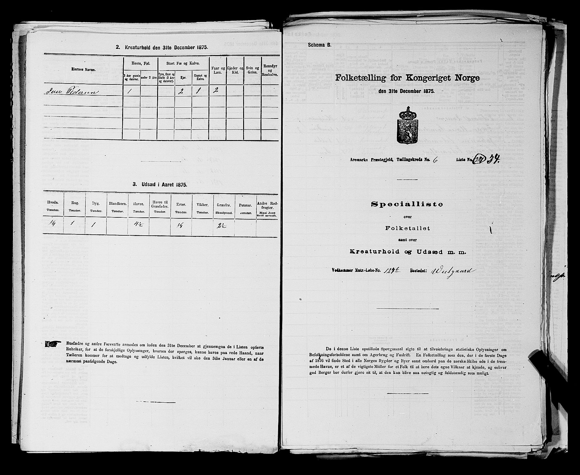 RA, 1875 census for 0118P Aremark, 1875, p. 884