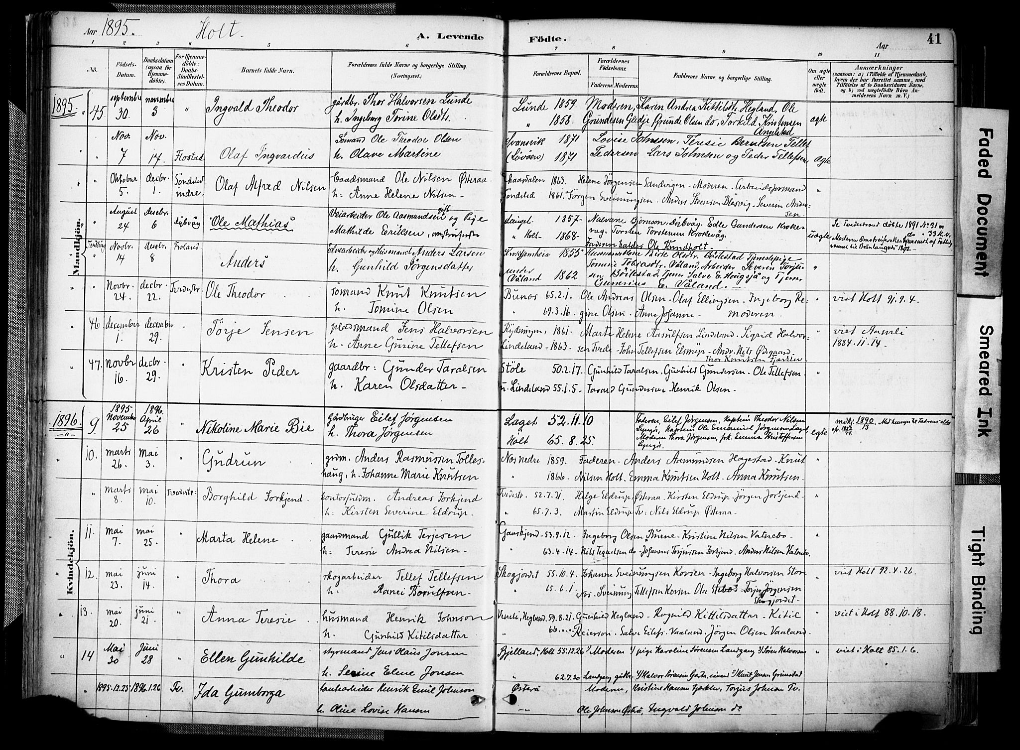 Holt sokneprestkontor, AV/SAK-1111-0021/F/Fa/L0012: Parish register (official) no. A 12, 1885-1907, p. 41