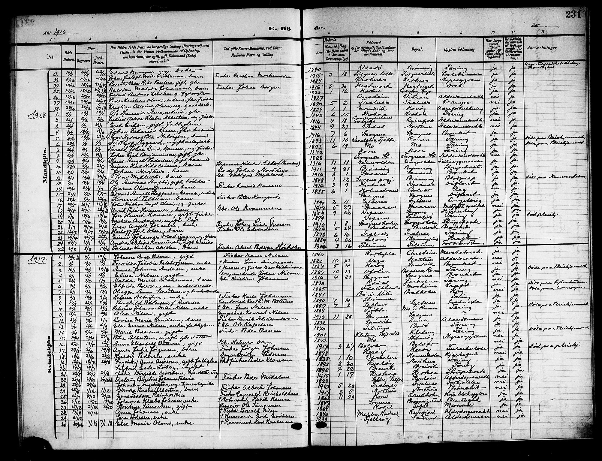 Ministerialprotokoller, klokkerbøker og fødselsregistre - Nordland, SAT/A-1459/813/L0214: Parish register (copy) no. 813C06, 1904-1917, p. 231