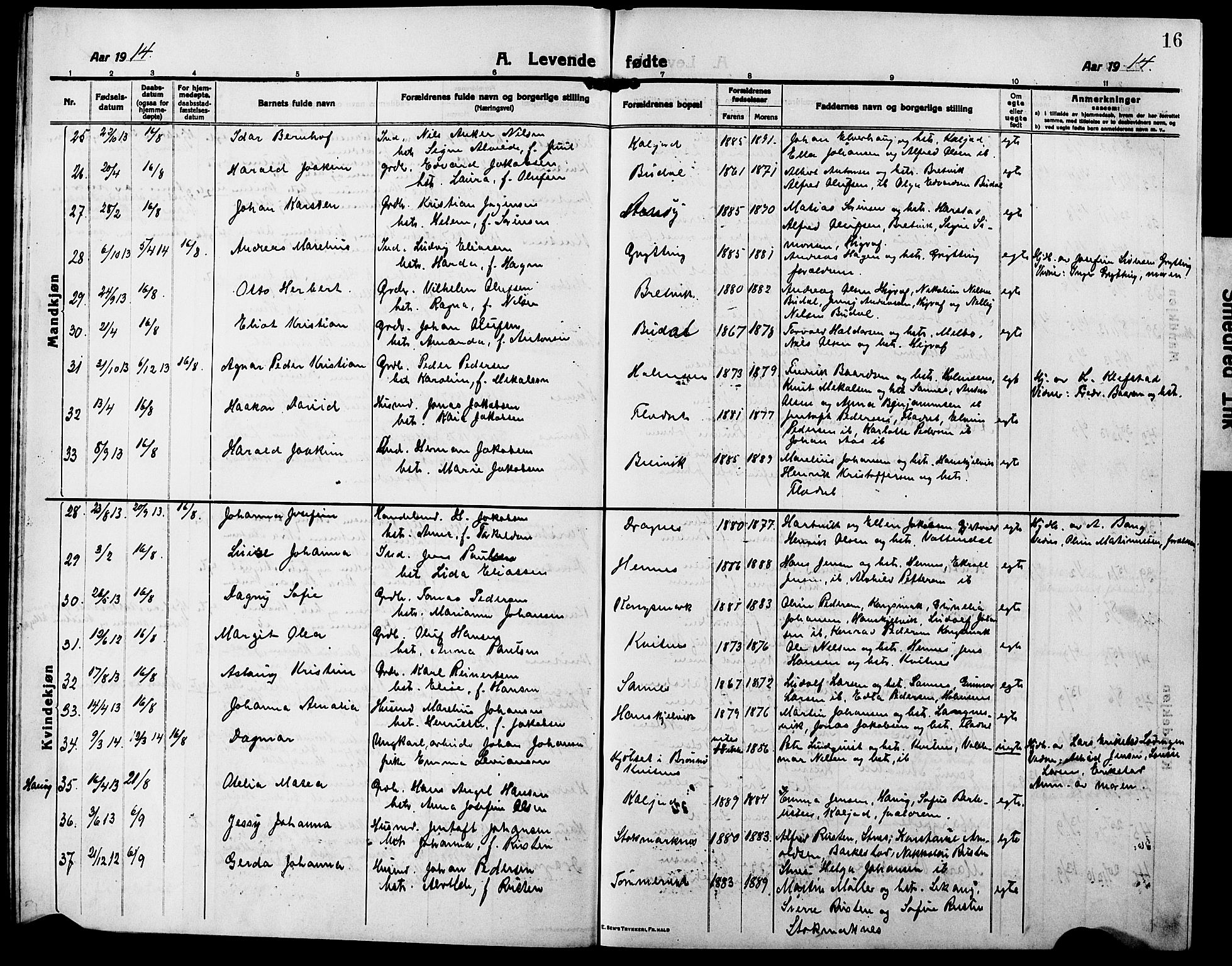 Ministerialprotokoller, klokkerbøker og fødselsregistre - Nordland, AV/SAT-A-1459/888/L1269: Parish register (copy) no. 888C07, 1913-1927, p. 16