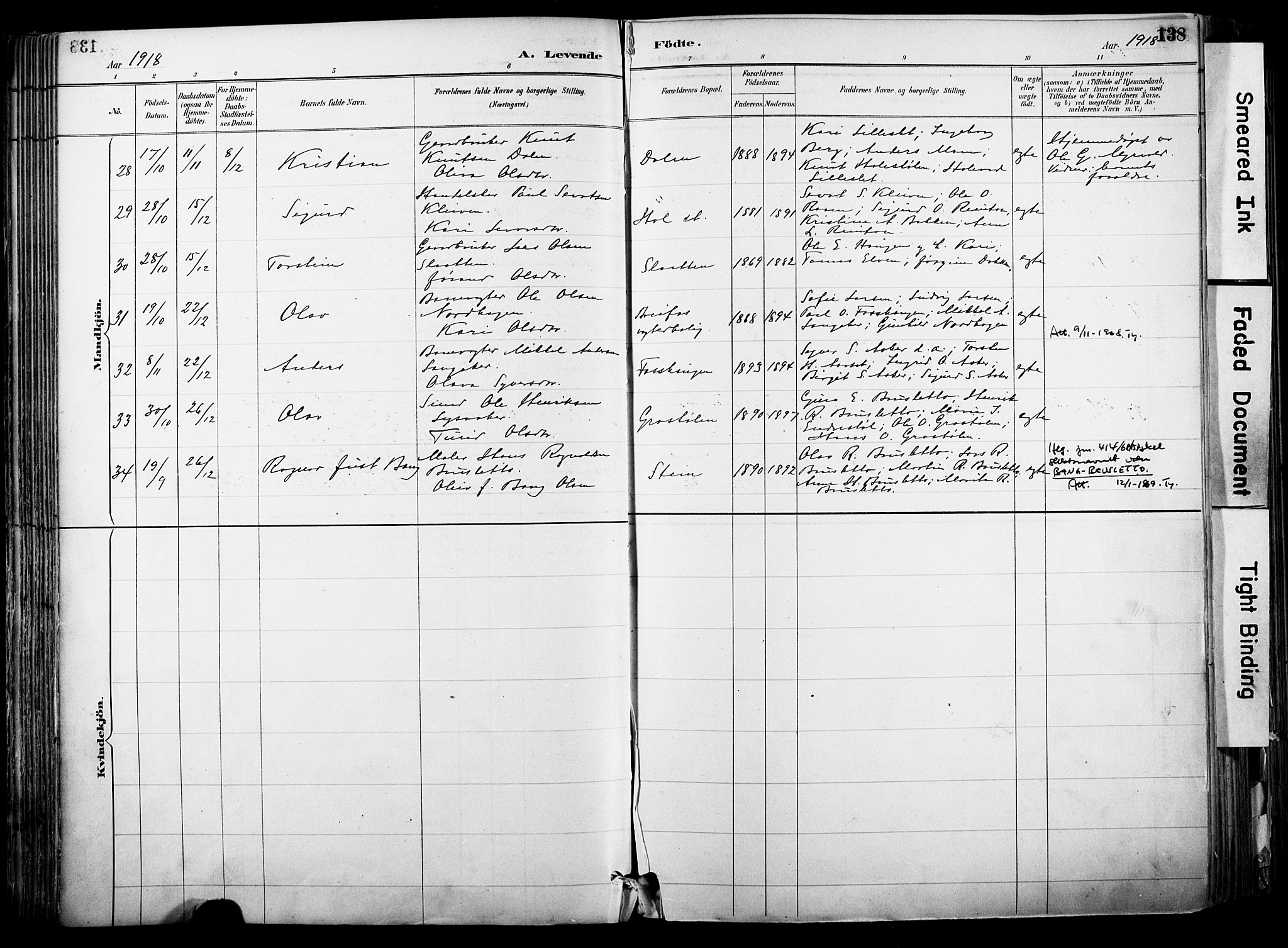 Hol kirkebøker, AV/SAKO-A-227/F/Fa/L0003: Parish register (official) no. I 3, 1887-1918, p. 138