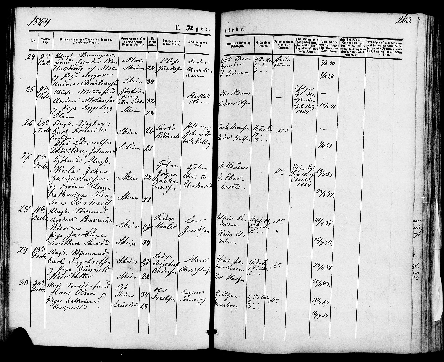 Skien kirkebøker, AV/SAKO-A-302/F/Fa/L0007: Parish register (official) no. 7, 1856-1865, p. 203
