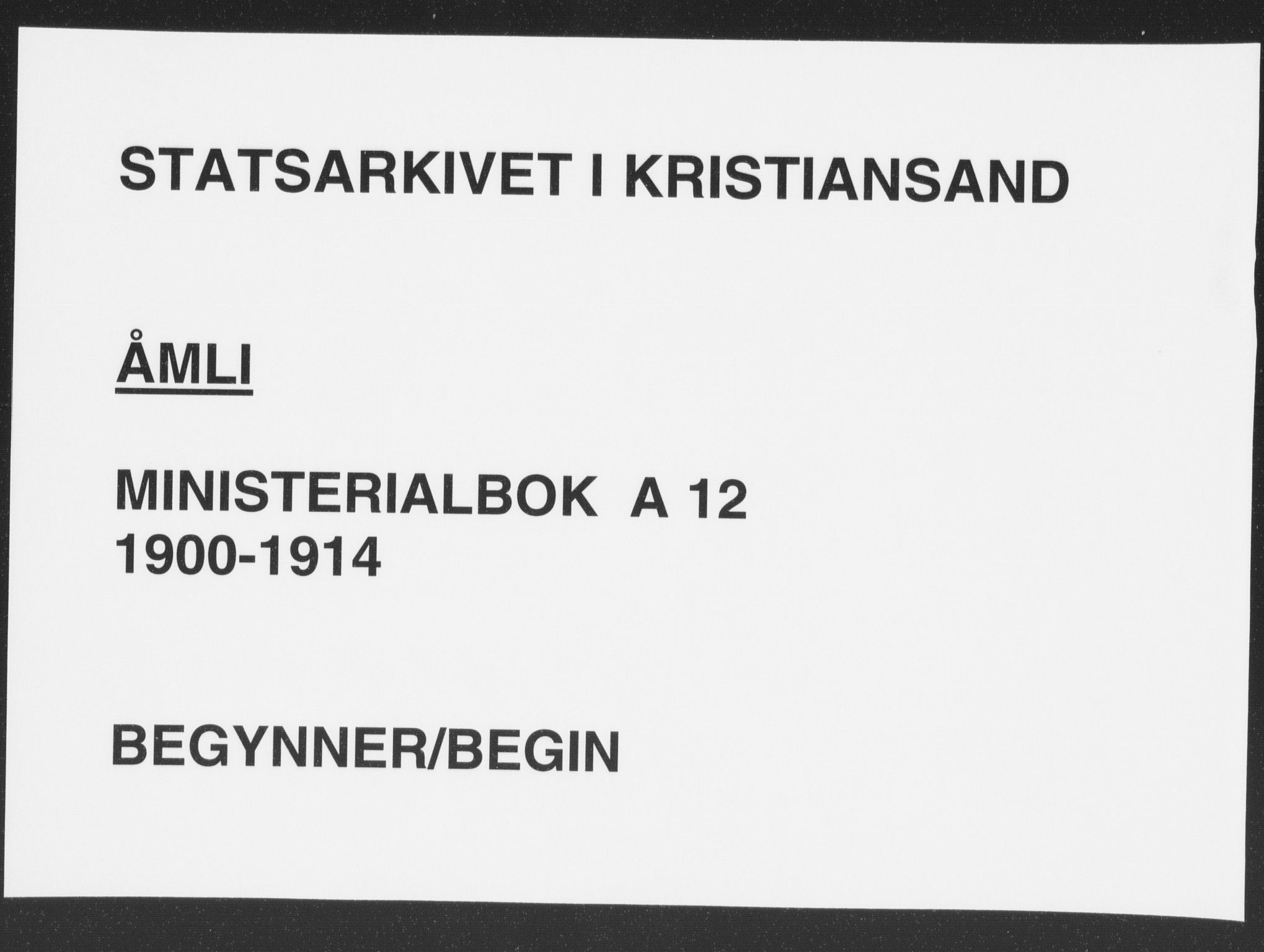 Åmli sokneprestkontor, AV/SAK-1111-0050/F/Fa/Fac/L0012: Parish register (official) no. A 12, 1900-1914