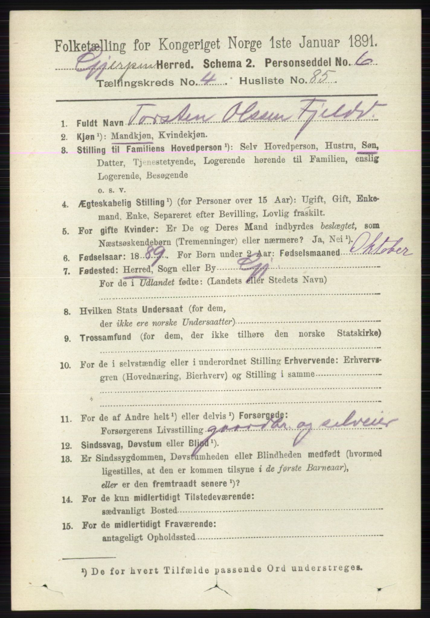 RA, 1891 census for 0812 Gjerpen, 1891, p. 2417