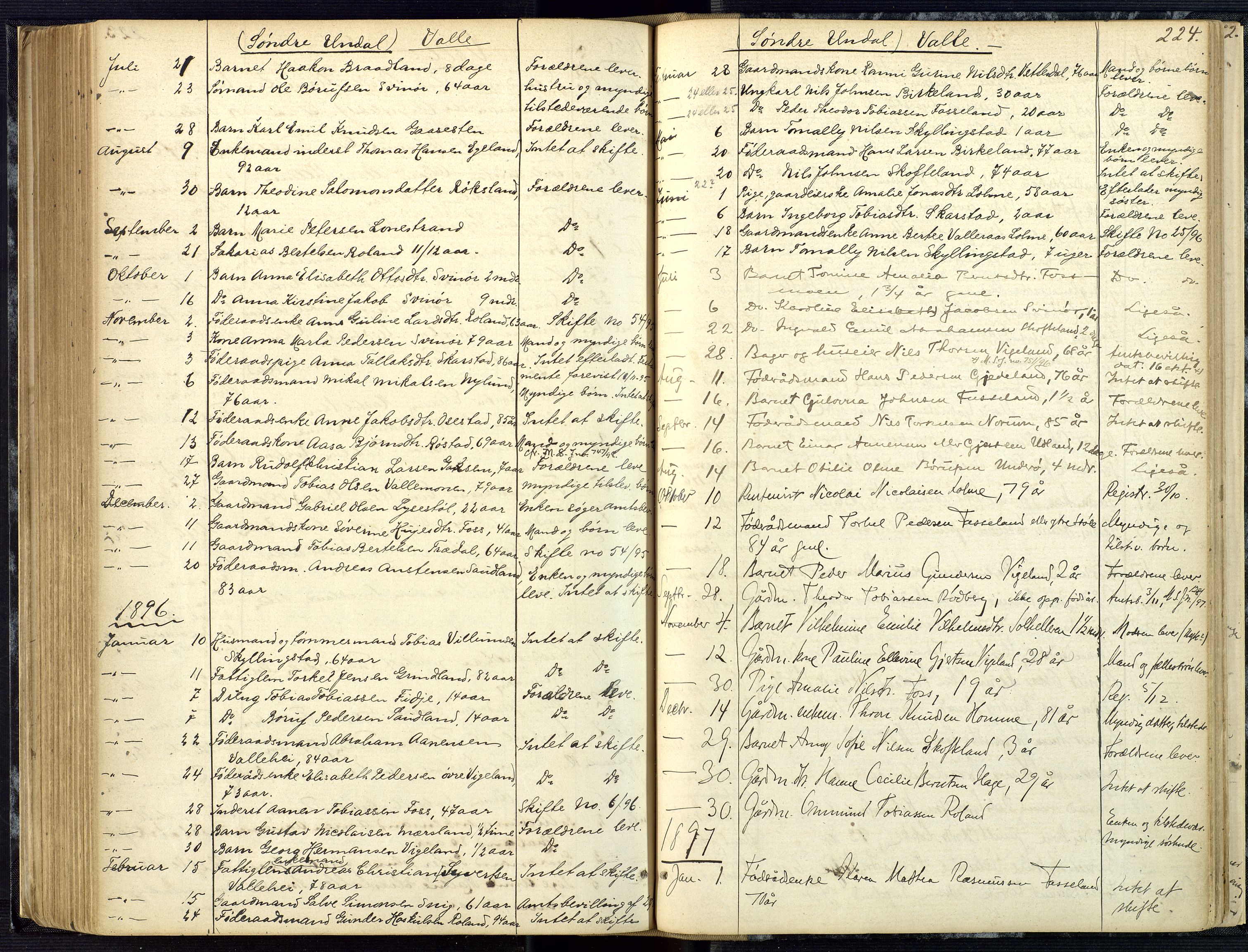Mandal sorenskriveri, AV/SAK-1221-0005/001/H/Ha/L0001: Dødsfall hele sorenskriveriet nr A1, 1862-1901, p. 223b-224a