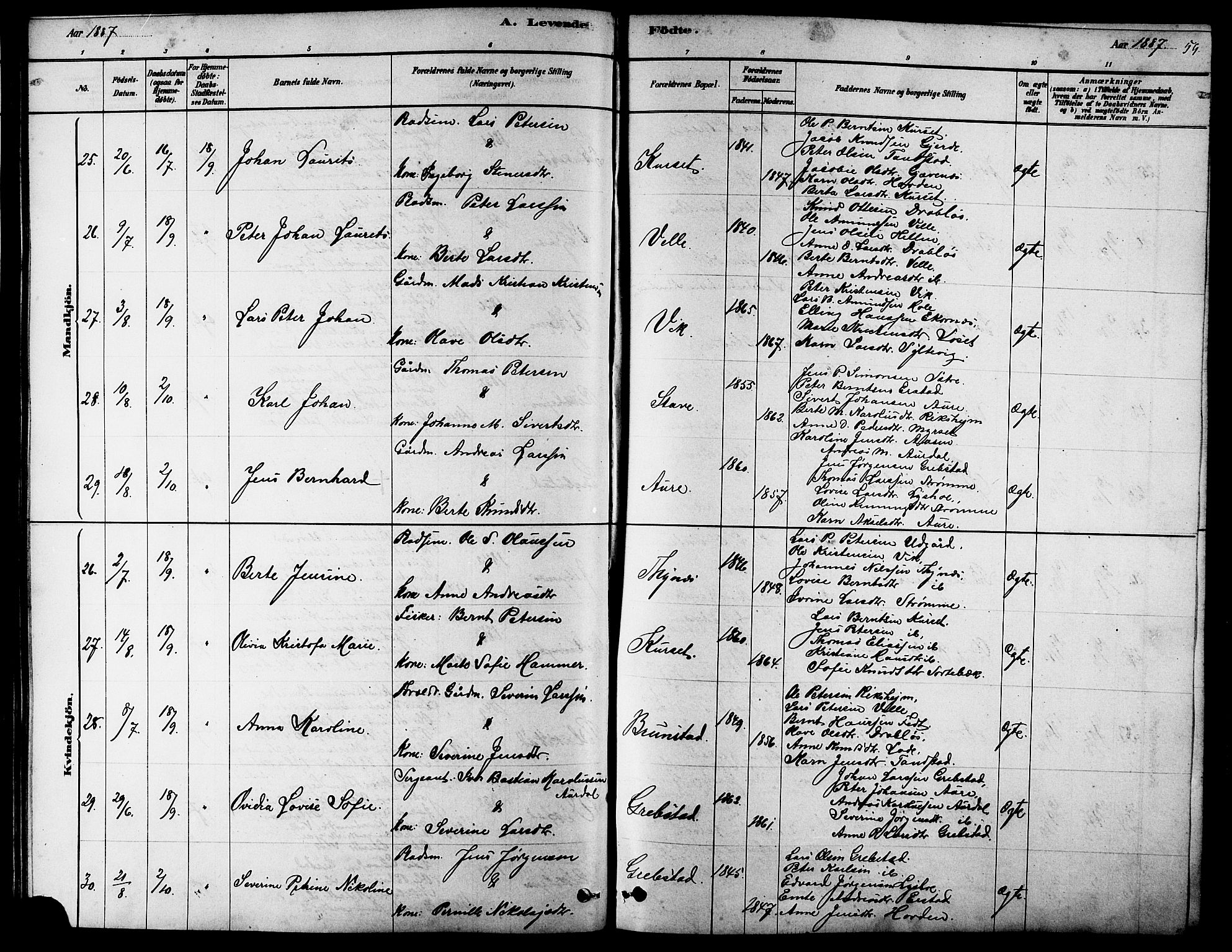 Ministerialprotokoller, klokkerbøker og fødselsregistre - Møre og Romsdal, AV/SAT-A-1454/523/L0339: Parish register (copy) no. 523C02, 1878-1891, p. 59